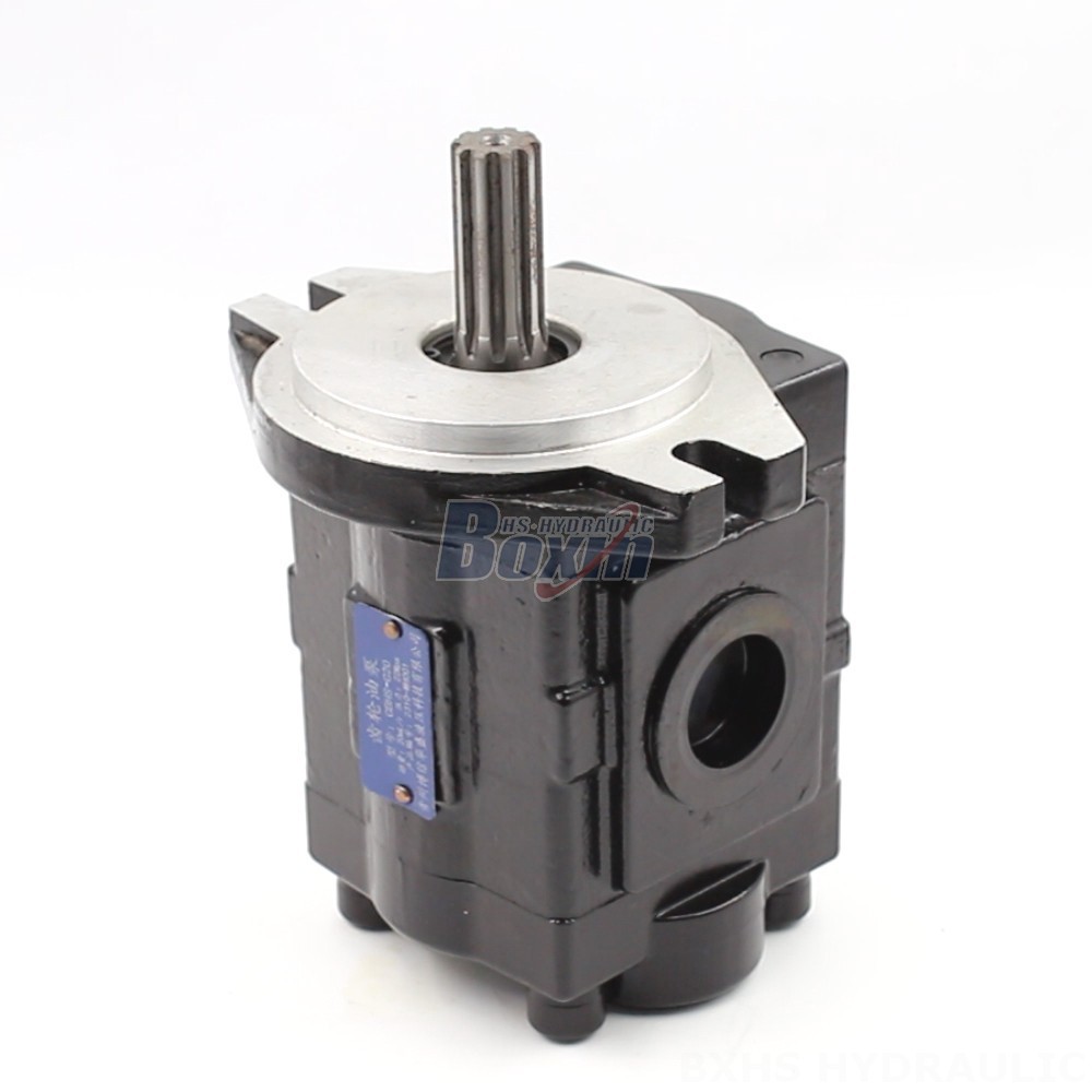 Hydraulic Pump Iso High-Performance Hydraulic Gear Pump - 20 cc/rev | Wholesale & OEM main image
