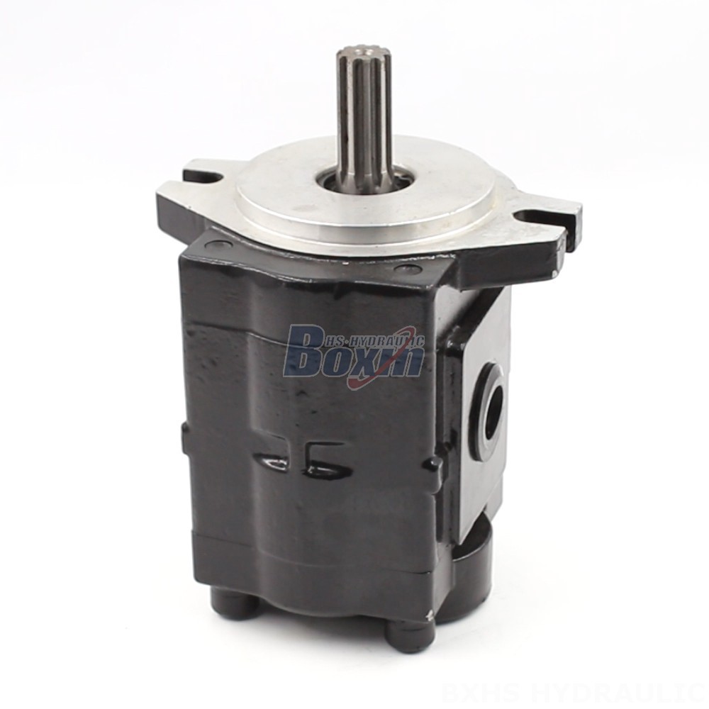 Nsh Pump Direct from the Manufacturer: 20 cc/rev Hydraulic Gear Pumps - High Performance & Reliability main image
