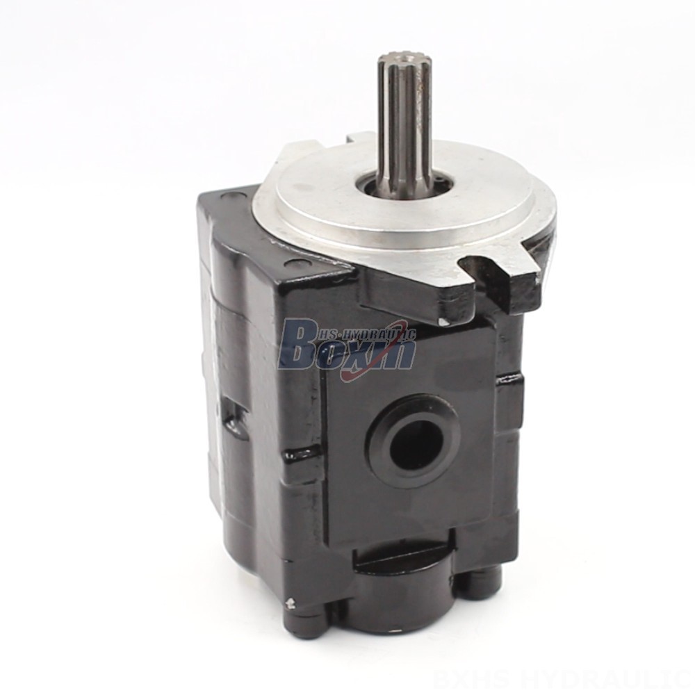 Nsh Pump Direct from the Manufacturer: 20 cc/rev Hydraulic Gear Pumps - High Performance & Reliability main image