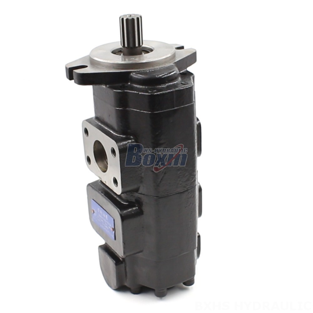 P30 Hydraulic Pump High Flow Rate Hydraulic Gear Pump - 40 cc/rev - Customizable Options cover photo