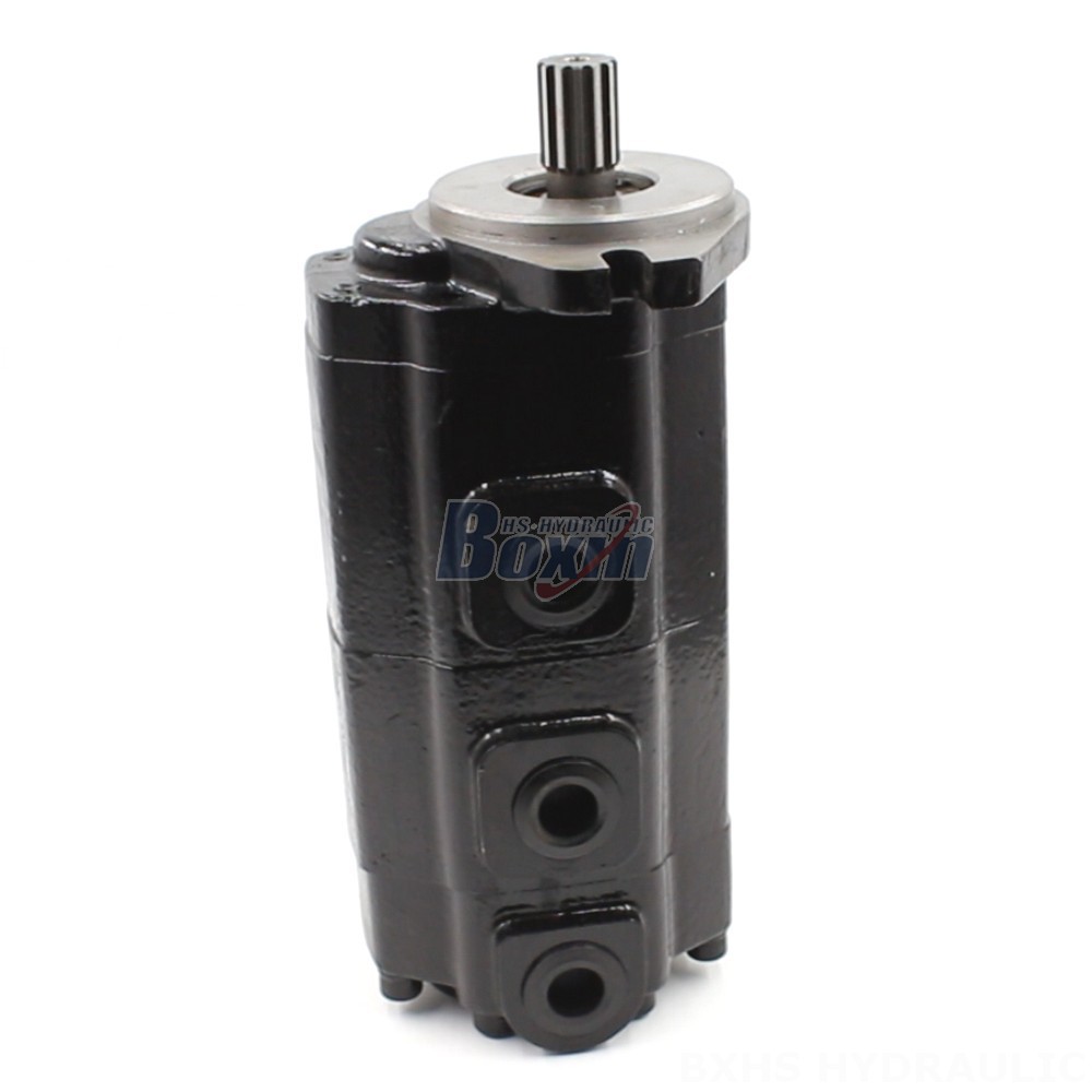 P980 Piston Pump Direct from the Source: 40 cc/rev Hydraulic Gear Pumps - Factory Pricing main image