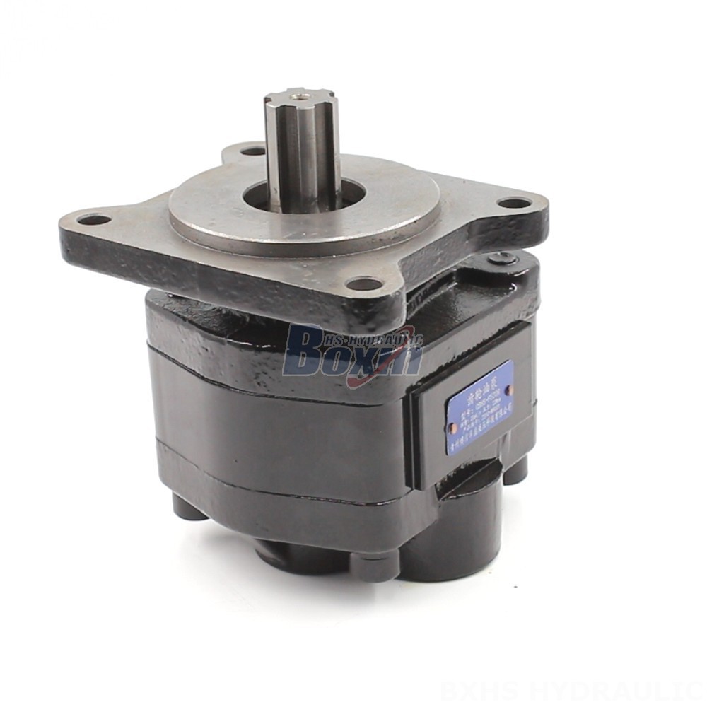Low Noise Gear Pump 20 cc/rev Hydraulic Gear Pump: OEM & ODM Services Available main image
