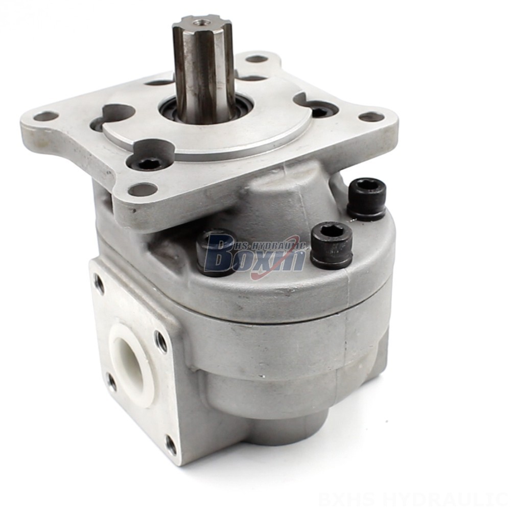 Hydraulic Hand Pump 50 cc/rev Gear Pump: CBHS-F550 | Factory Direct & Customizable cover photo