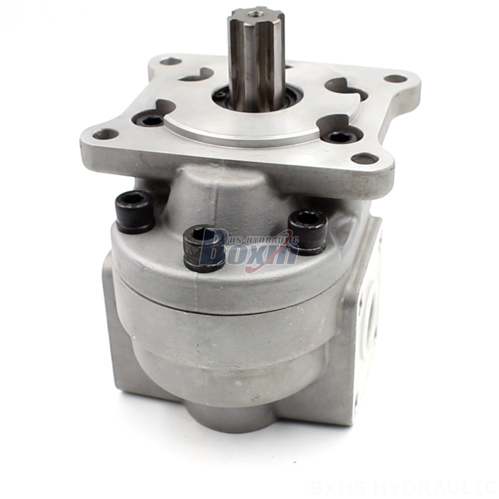 Hydraulic Hand Pump 50 cc/rev Gear Pump: CBHS-F550 | Factory Direct & Customizable main image