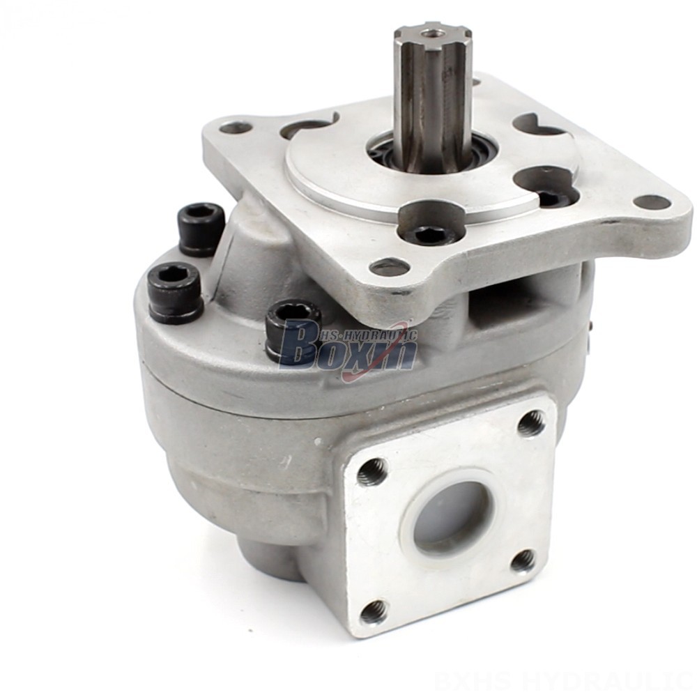 Hydraulic Hand Pump 50 cc/rev Gear Pump: CBHS-F550 | Factory Direct & Customizable main image