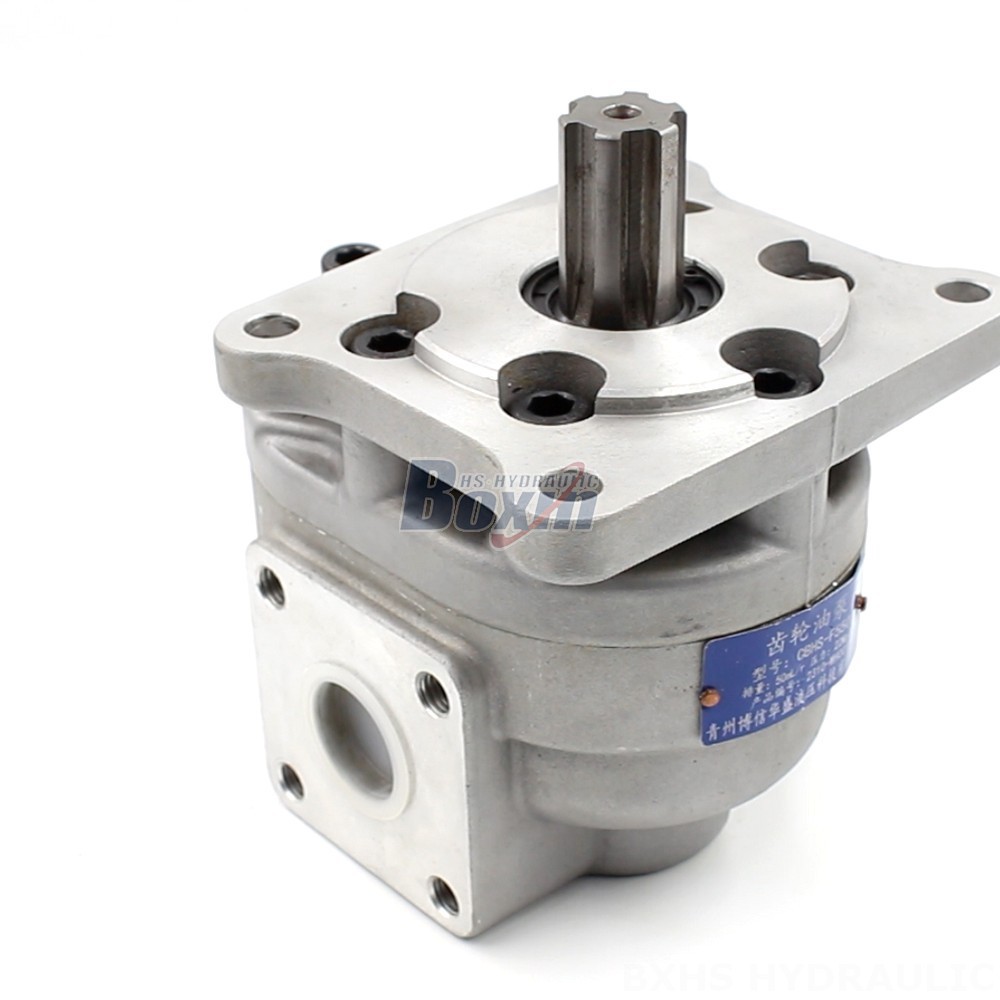 Oil Pump For Truck CBHS-F550 Gear Pump OEM/ODM: Tailored Solutions for Your Applications main image