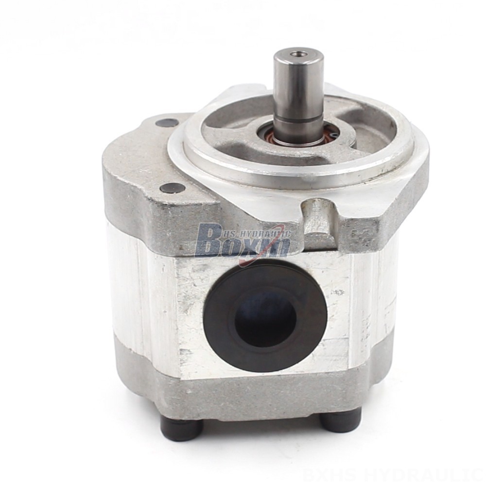 Double Gear Oil Pump Industrial 6 cc/rev Gear Pump | Reliable & Efficient main image