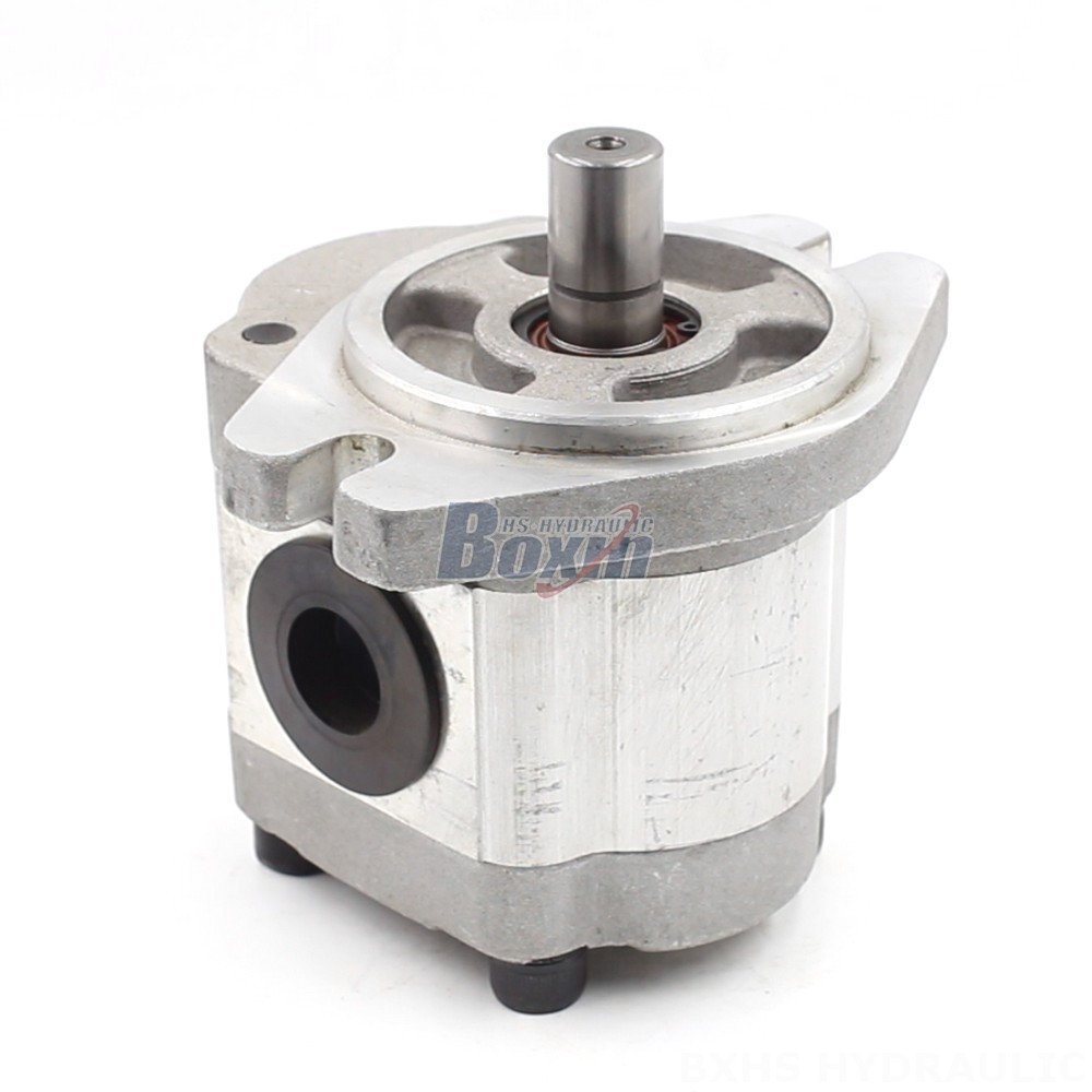 Double Gear Oil Pump Industrial 6 cc/rev Gear Pump | Reliable & Efficient main image