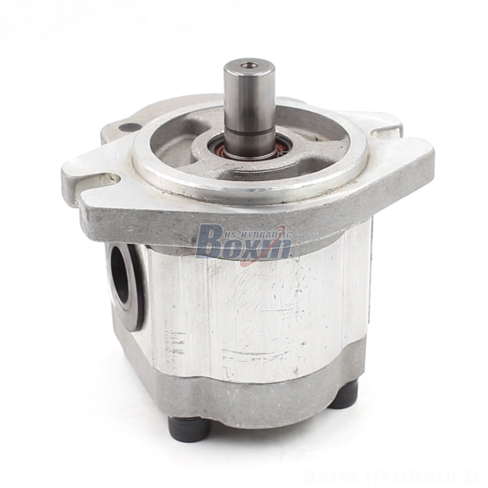 Bi Rotational Pump Customizable 6 cc/rev Hydraulic Gear Pump: OEM & ODM Manufacturing cover photo