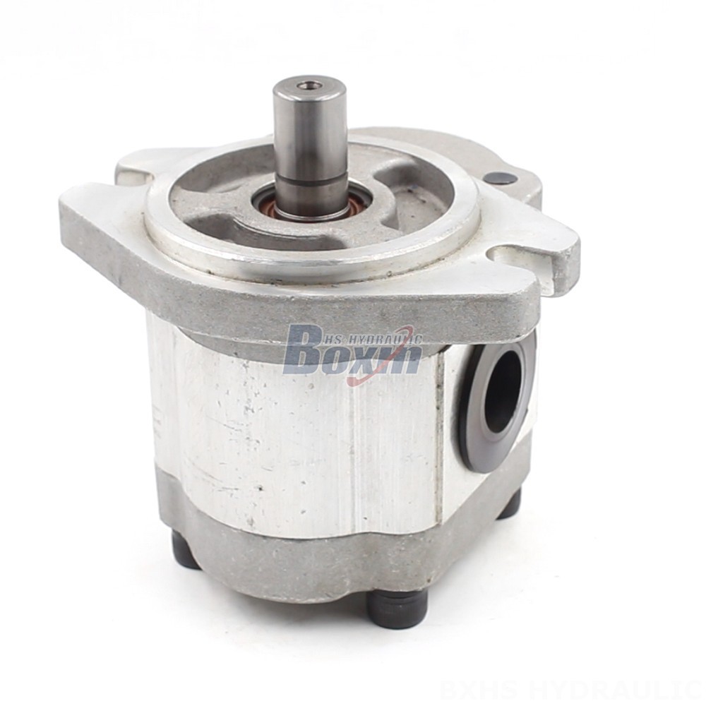 Bi Rotational Pump Customizable 6 cc/rev Hydraulic Gear Pump: OEM & ODM Manufacturing main image