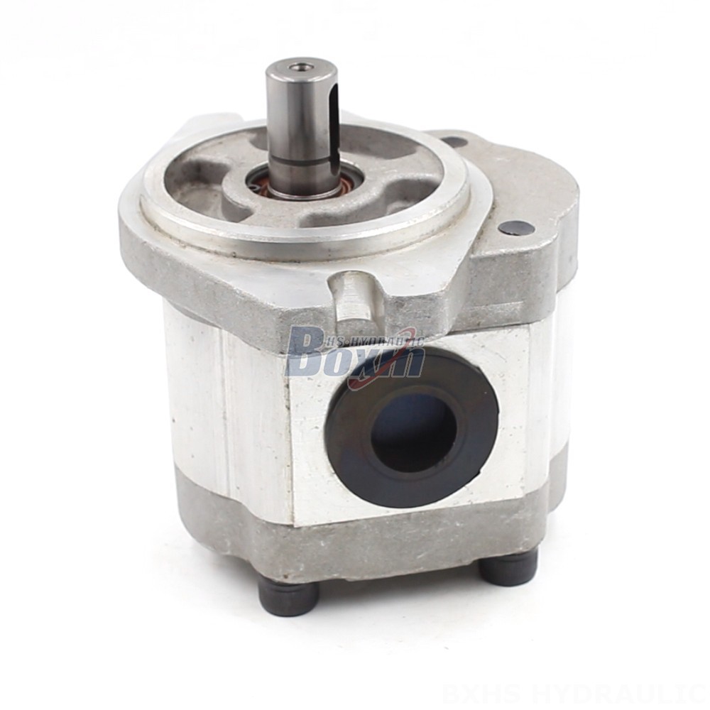 Bi Rotational Pump Customizable 6 cc/rev Hydraulic Gear Pump: OEM & ODM Manufacturing main image