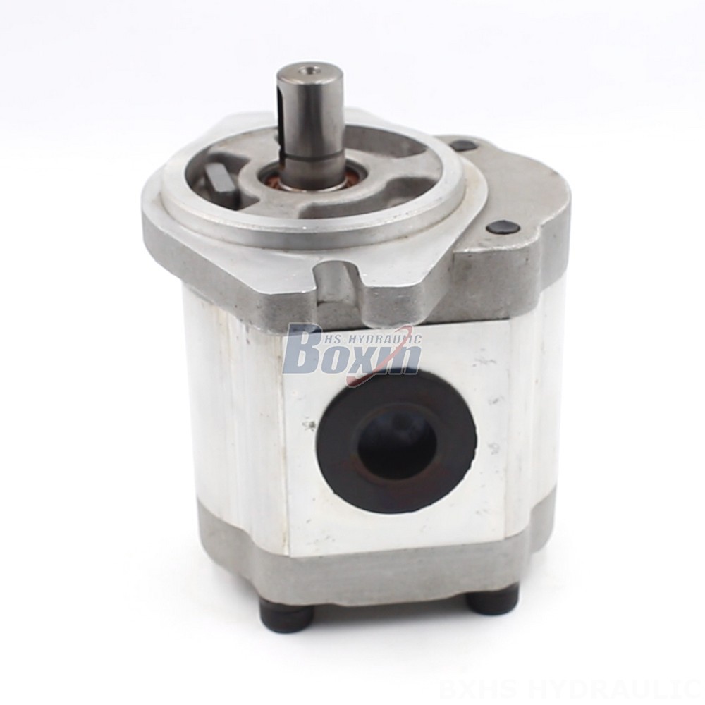 Melt Gear Pumps OEM/ODM 16 cc/rev Hydraulic Gear Pumps: Customized Solutions & Bulk Orders main image