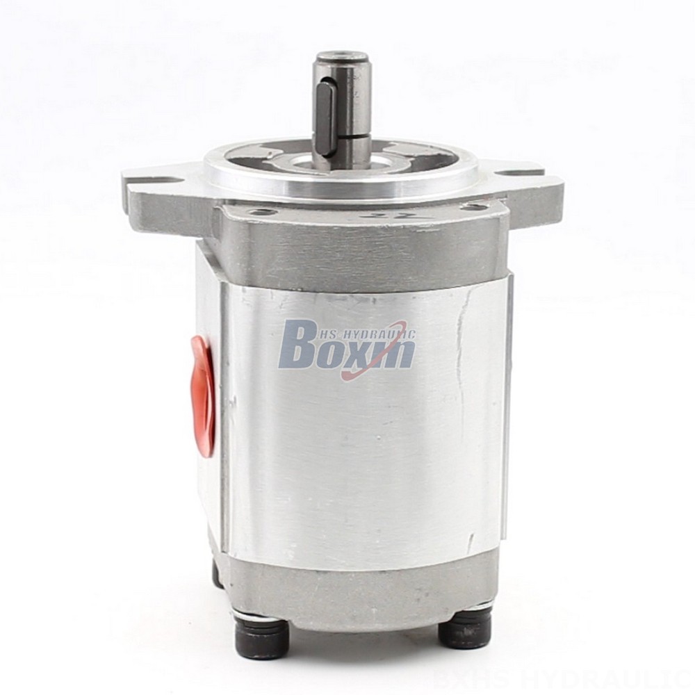 Small Gear Pump 4 cc/rev Hydraulic Gear Pump - CBHS-FL304 | Factory Direct & Customizable main image