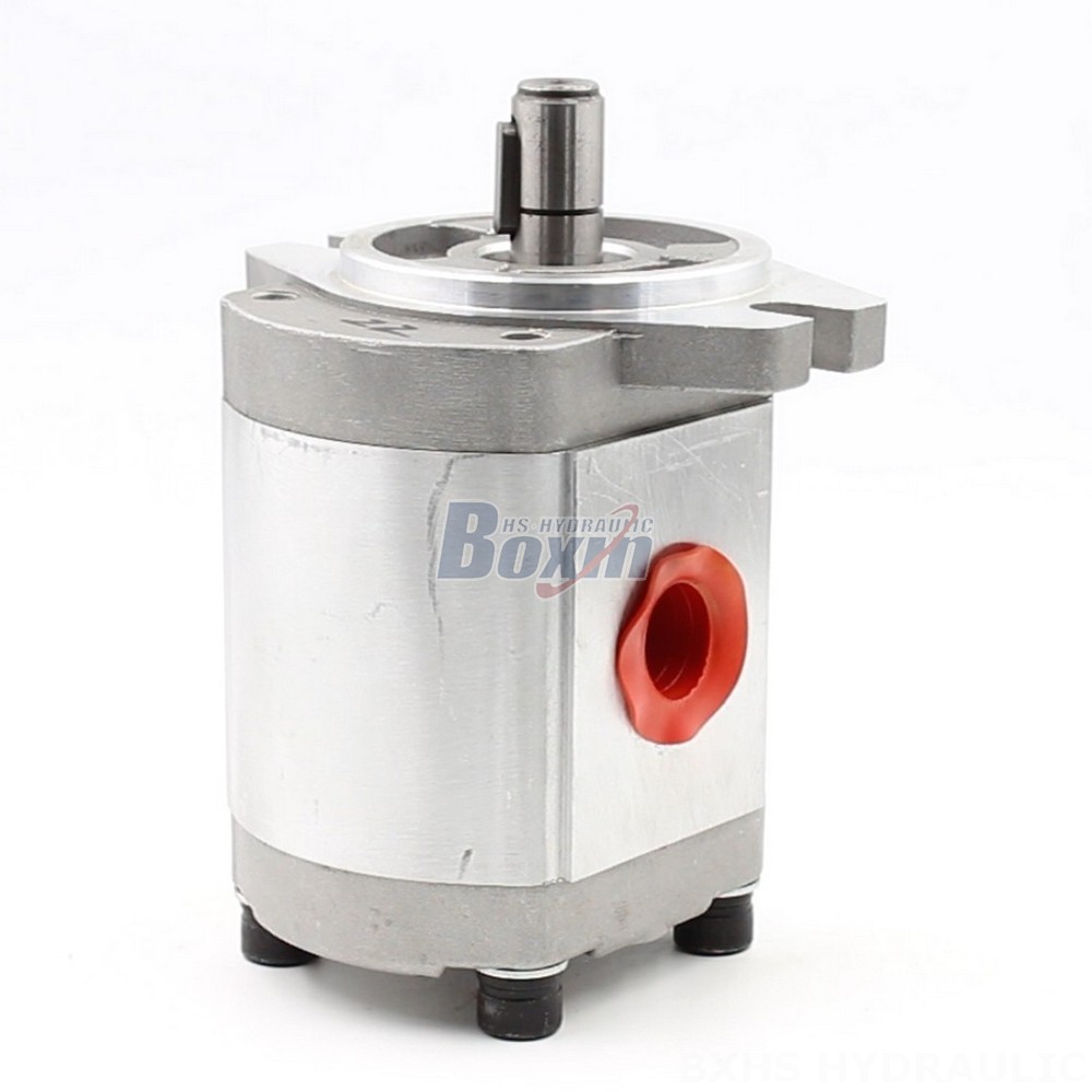 Small Gear Pump 4 cc/rev Hydraulic Gear Pump - CBHS-FL304 | Factory Direct & Customizable main image