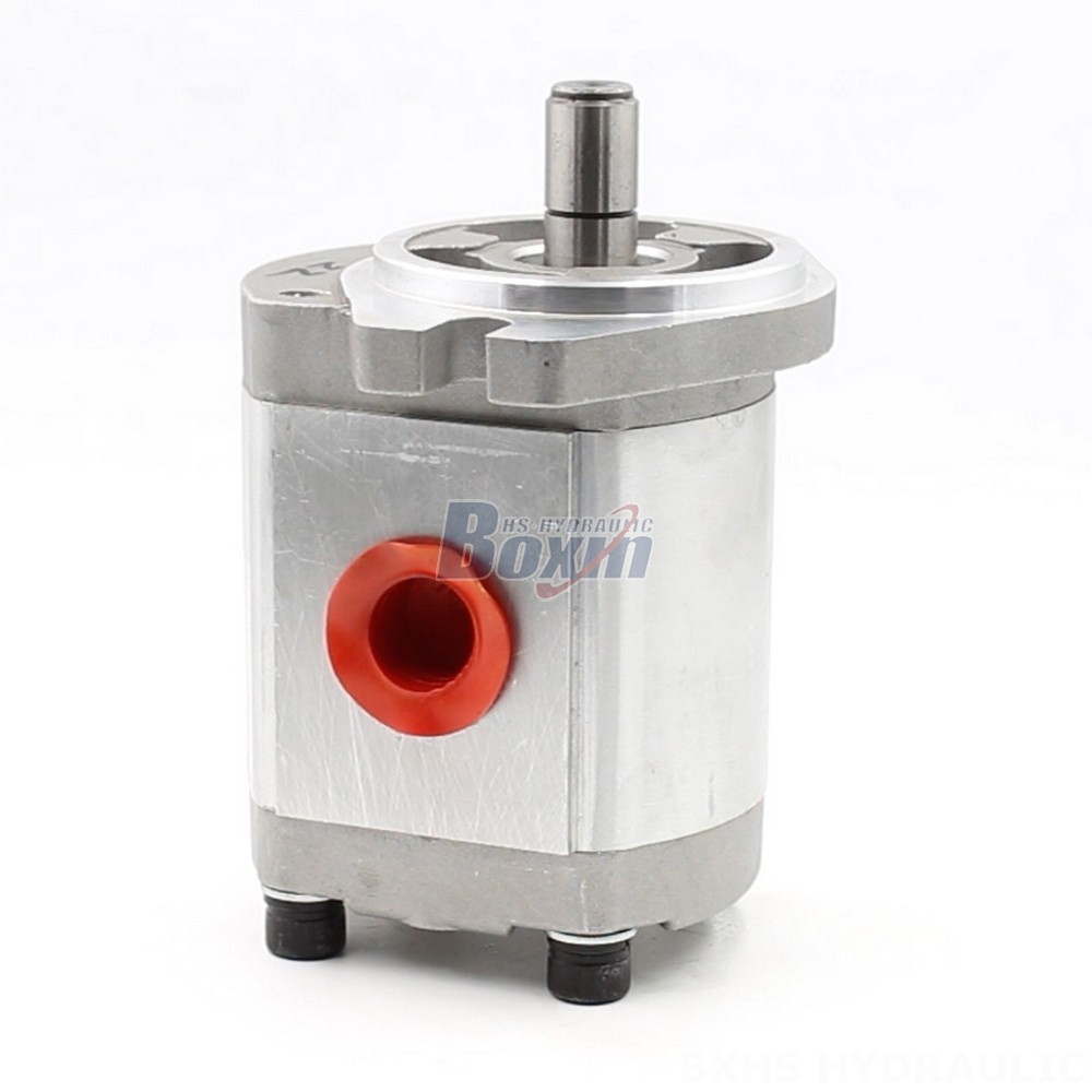 Oil Pumps Manufacturer of CBHS-FL304 Hydraulic Gear Pumps: Wholesale & Customization Available main image