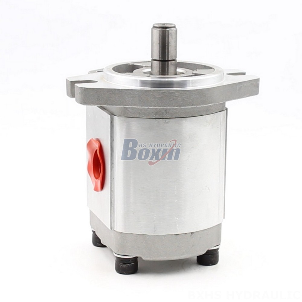 Oil Pumps Manufacturer of CBHS-FL304 Hydraulic Gear Pumps: Wholesale & Customization Available main image