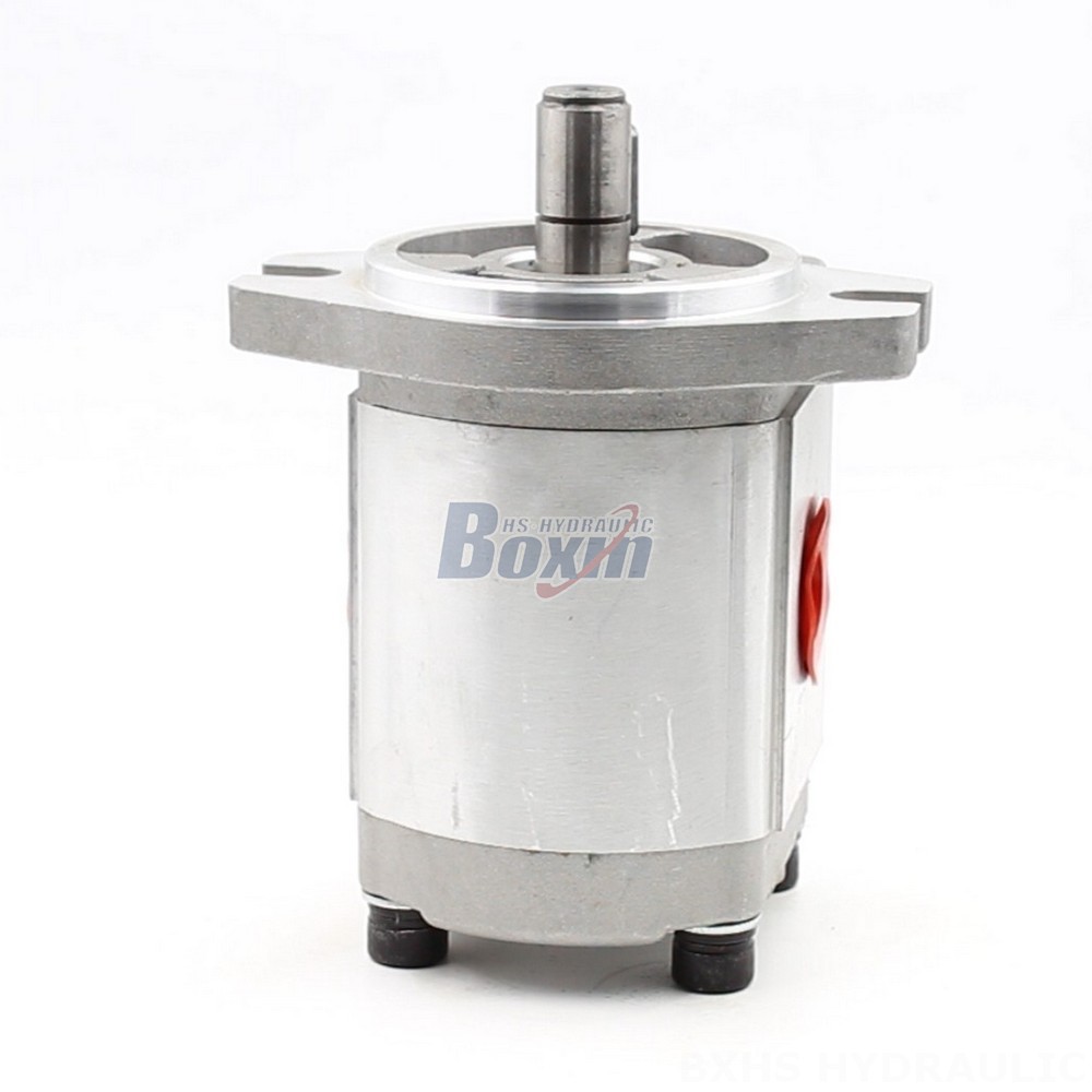 Hydraulic Oil Pump CBHS-FL304 4 cc/rev Hydraulic Gear Pump: OEM & ODM Services Available main image