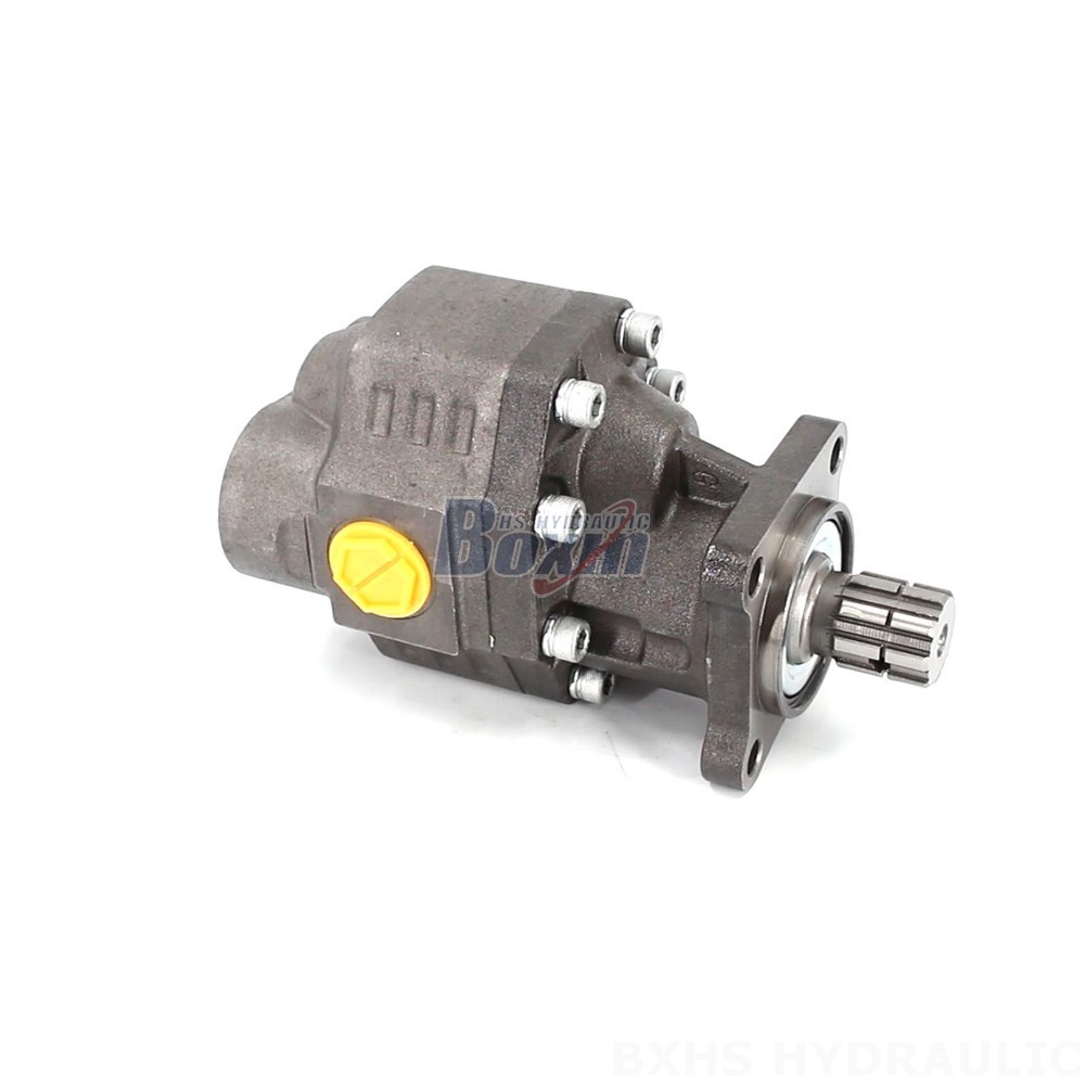 CBHW-ISO-100-Y 22 MPa (3190 psi) Hydraulic Gear Pump for Industrial Use cover photo