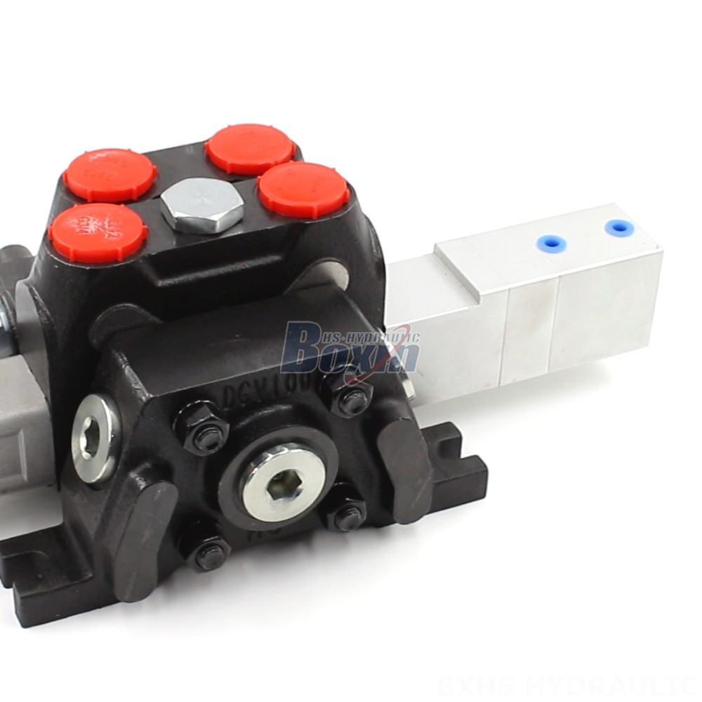 Bespoke Pneumatic Solutions: Customizable DCV100 Directional Control Valves cover photo