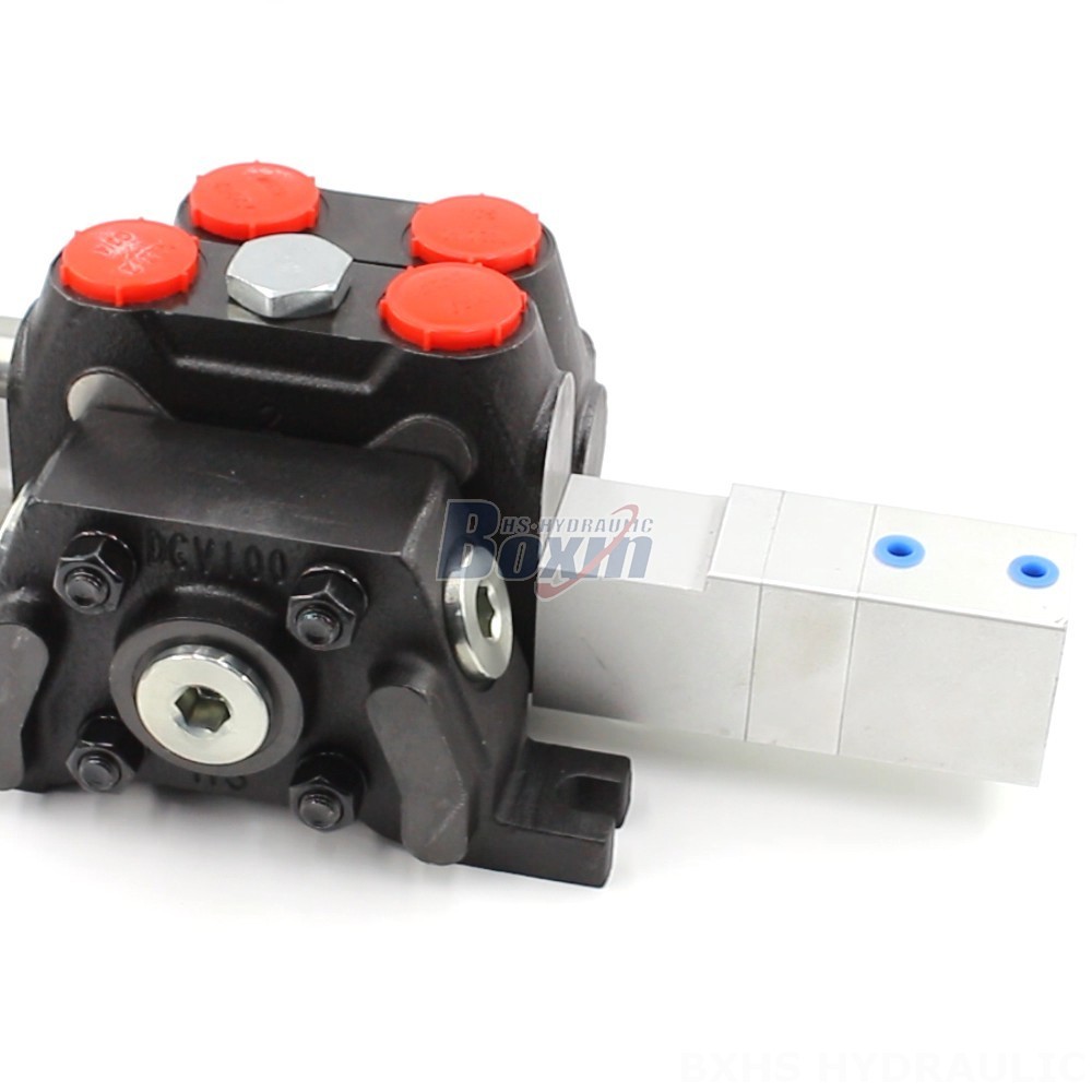 Hydraulic Inline Check Valve High-Performance DCV100 Valve for Demanding Pneumatic Applications main image
