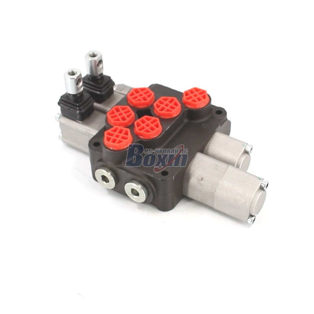 OEM and ODM Services for DCV20 Manual 2 Spool Monoblock Directional Valve Customization cover photo