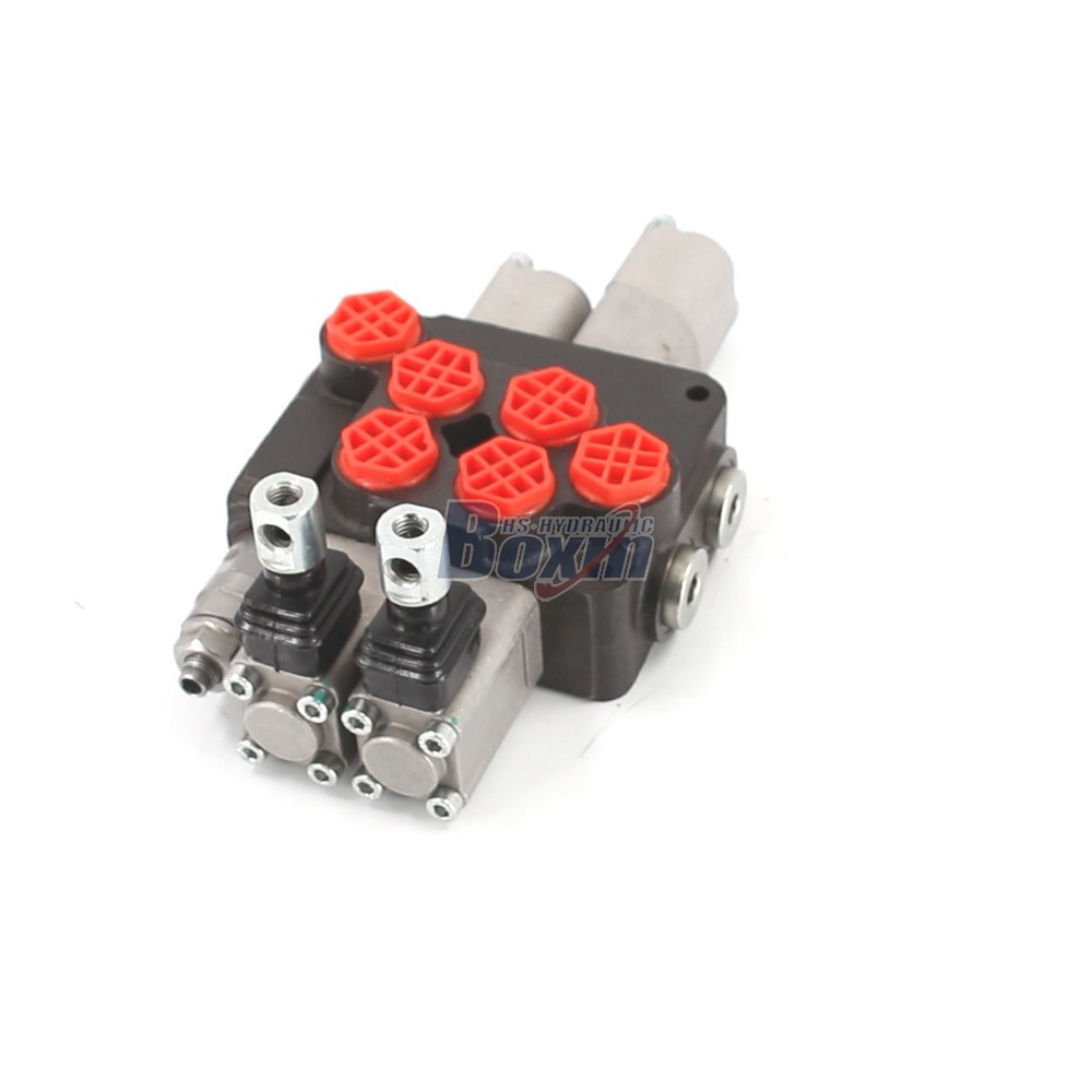OEM and ODM Services for DCV20 Manual 2 Spool Monoblock Directional Valve Customization main image