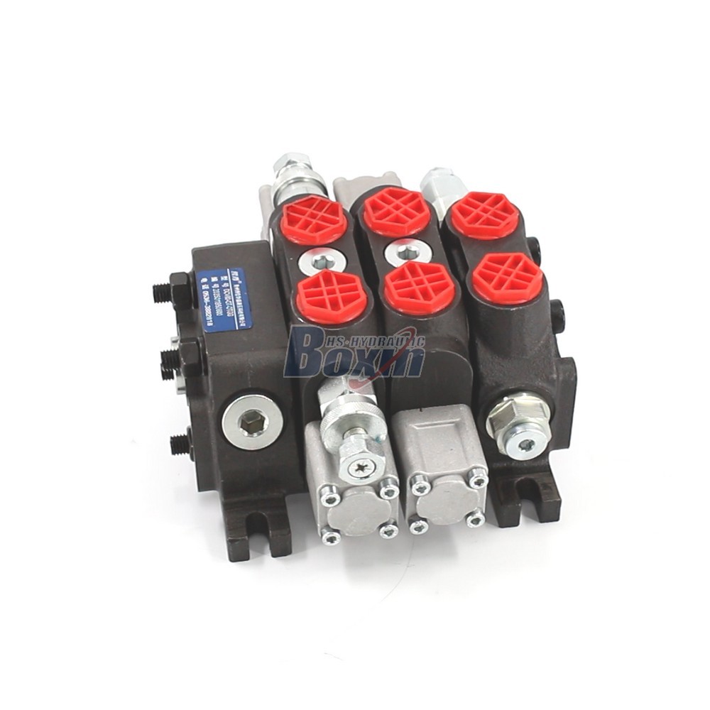 DCV60-FZJ Series Hydraulic Directional Control Valve 2 Spool Sectional Valve main image