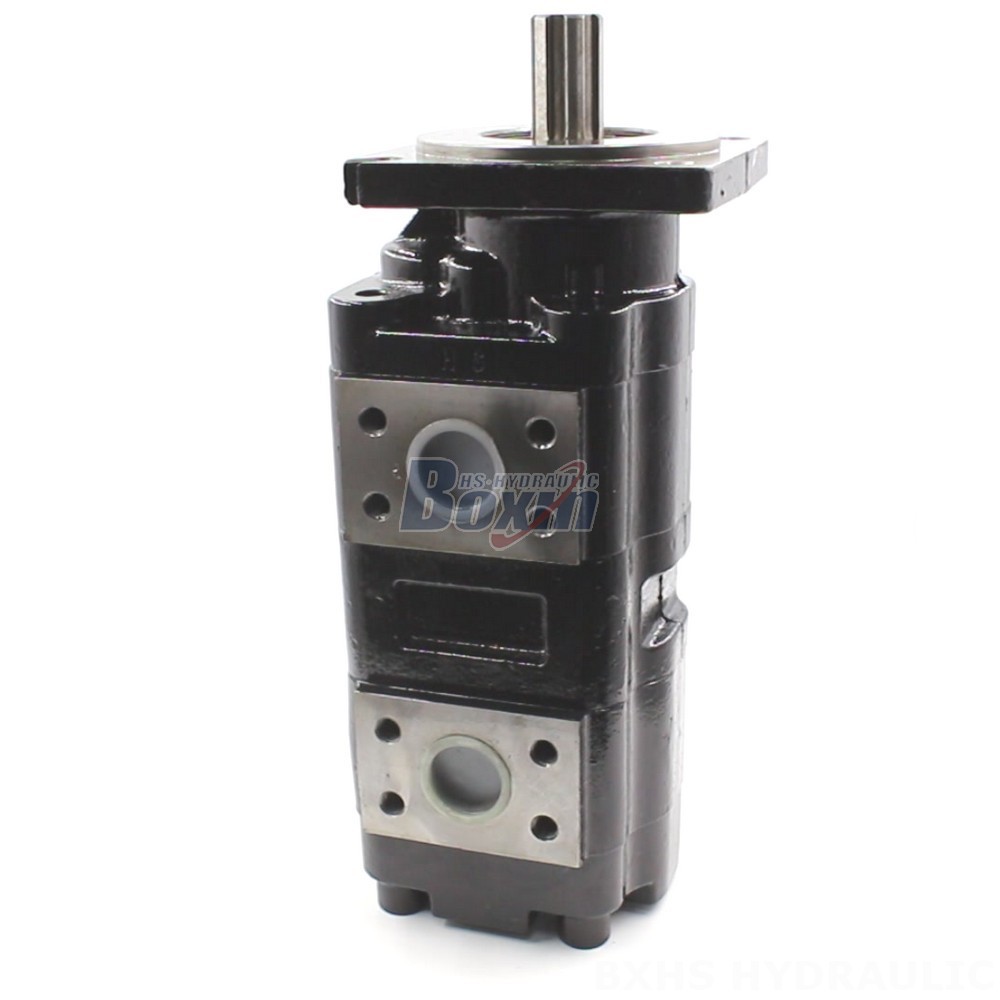 JHP2080-2080 Hydraulic Gear Pump: OEM & ODM Services Available main image