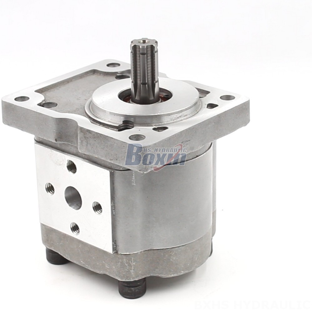 Pumps & Parts NSH-10 10 cc/rev Gear Pump: Technical Data, Applications, and Expert Support cover photo
