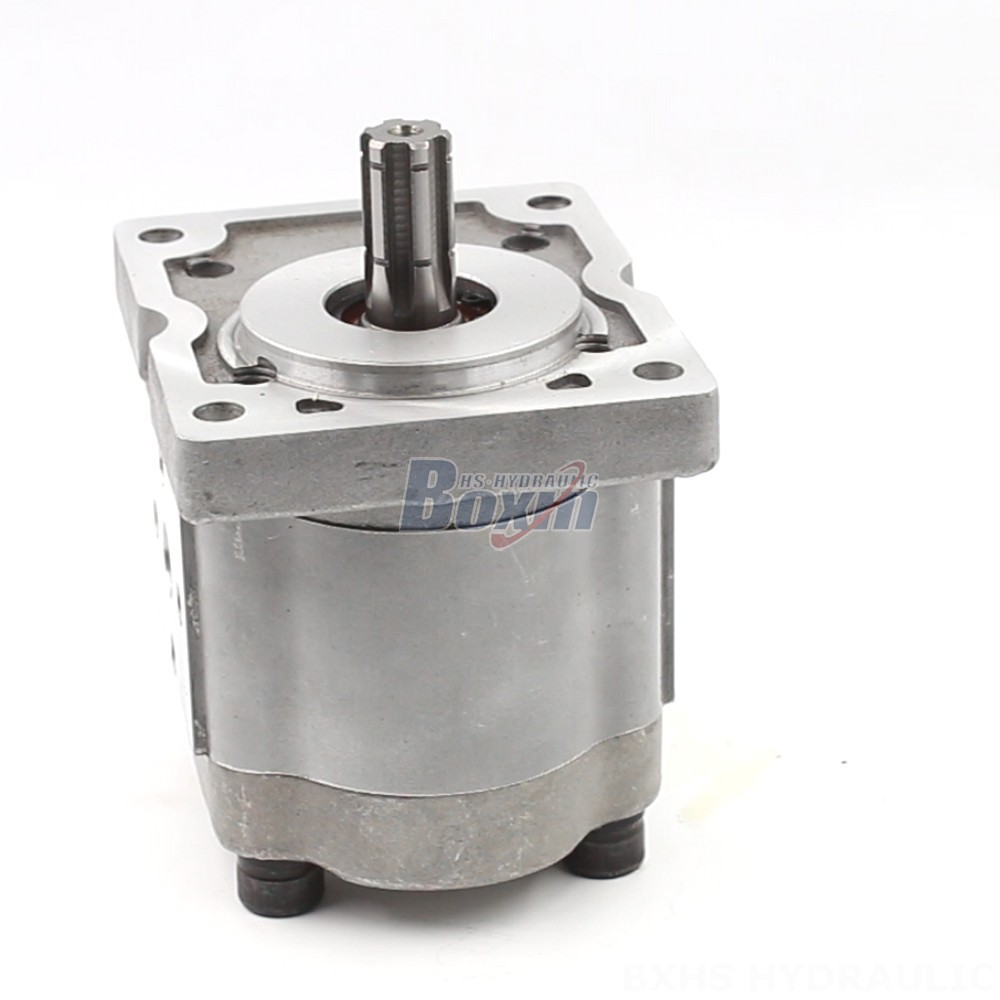Oil Gear Pump 10 cc Displacement Hydraulic Pump: NSH-10 Series for Industrial Applications main image