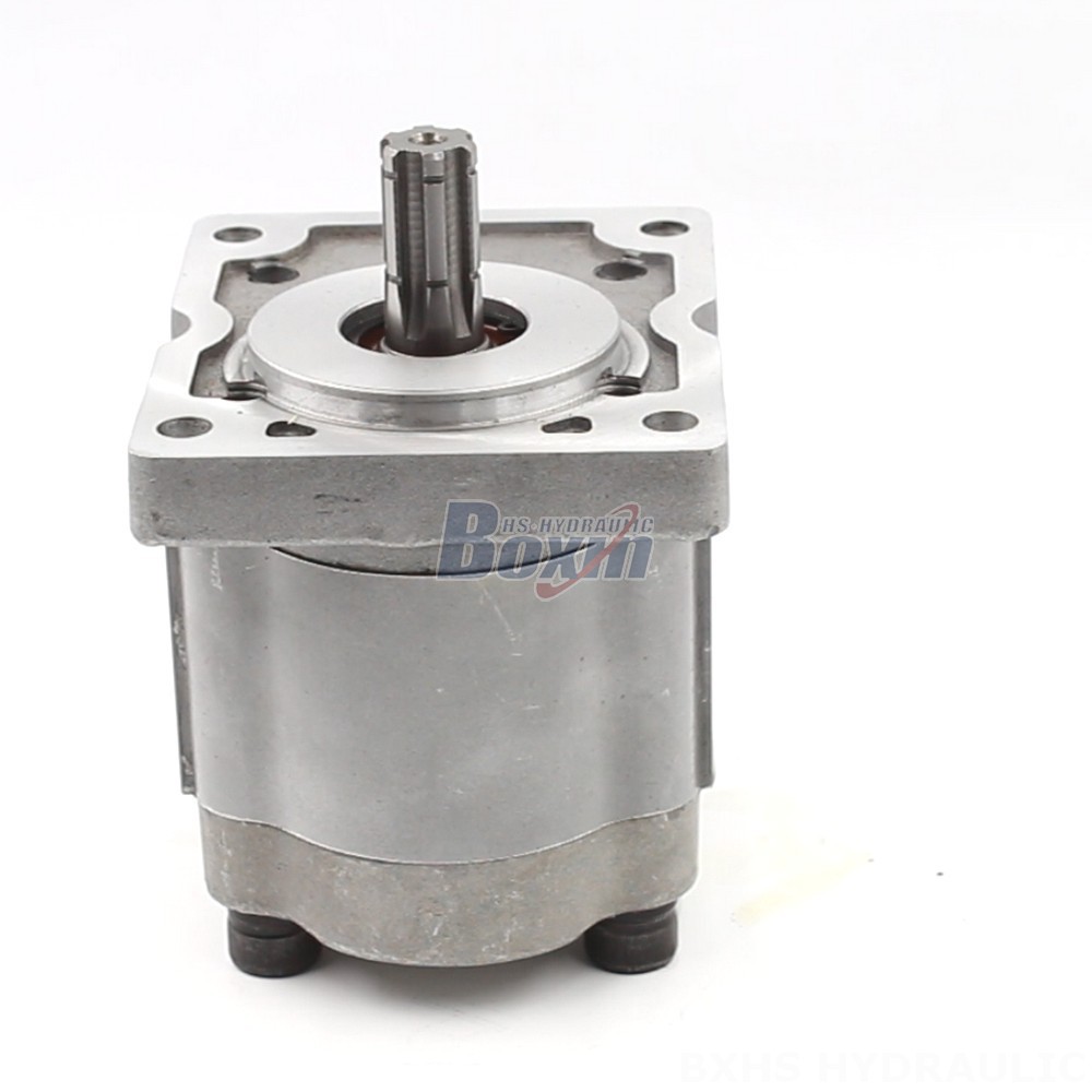 Pumps & Parts NSH-10 10 cc/rev Gear Pump: Technical Data, Applications, and Expert Support main image