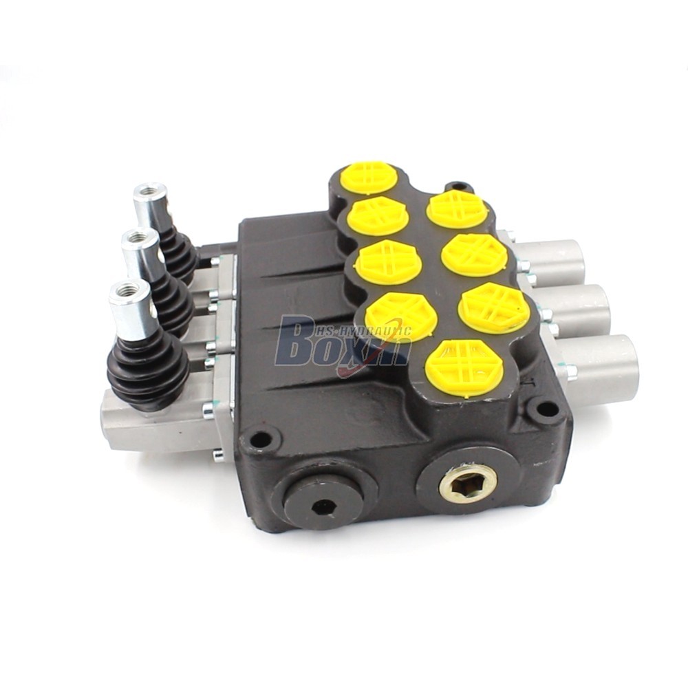 2 Spool Control Valve P120-G1-OT Monoblock Valve: Specifications, Features, and Applications cover photo