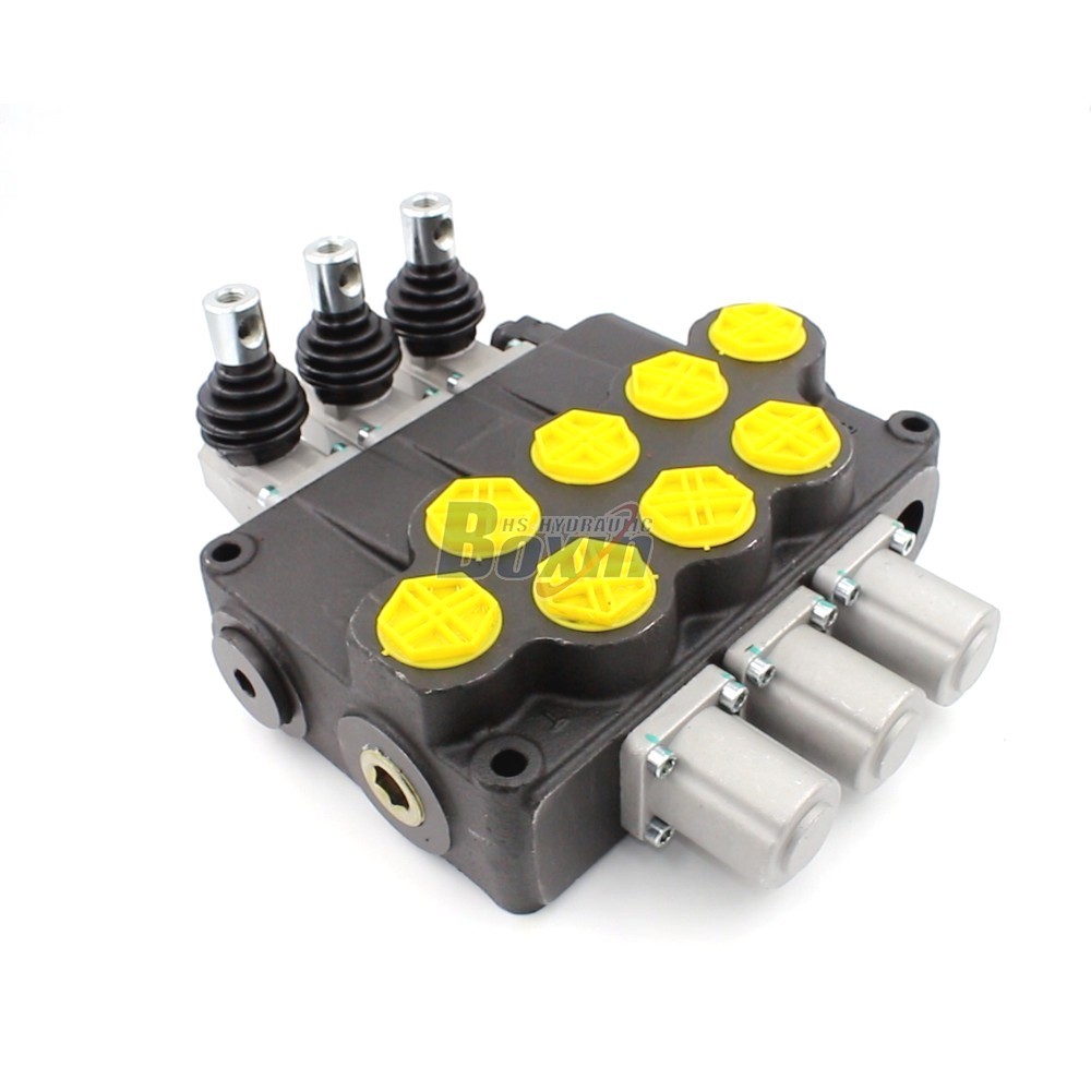 2 Spool Control Valve P120-G1-OT Monoblock Valve: Specifications, Features, and Applications main image