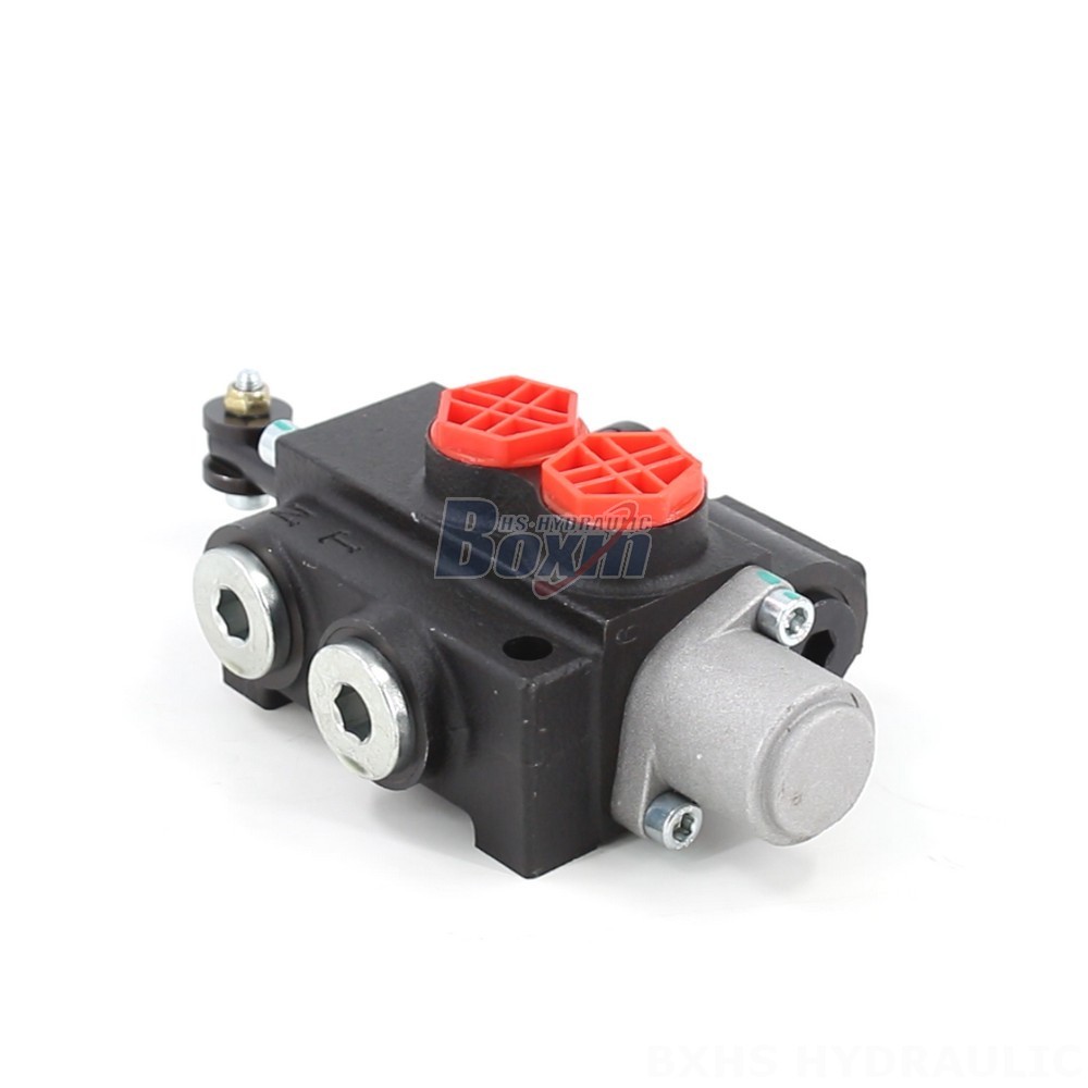 Industrial Hydraulic Valve P40-201: Factory Supply & Customization cover photo