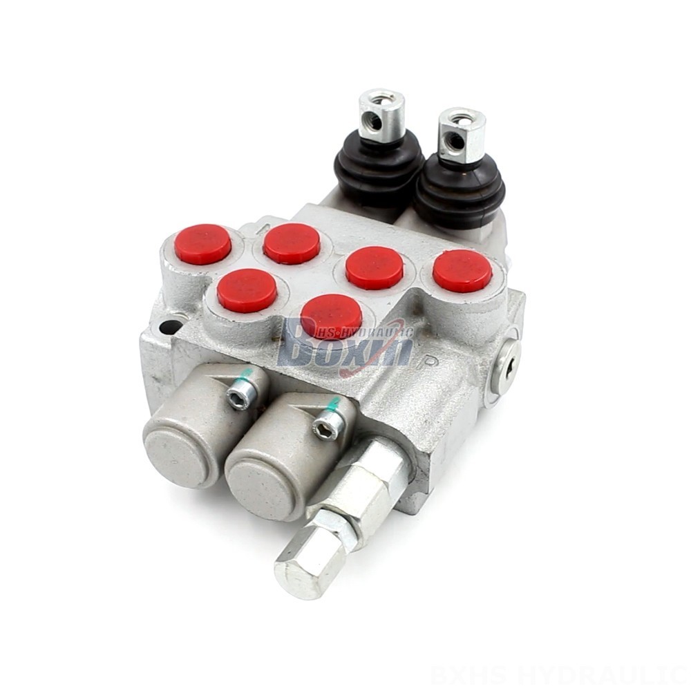 P40-DKL Manual 2 Spool Monoblock Directional Valve: Manufacturer & Supplier cover photo