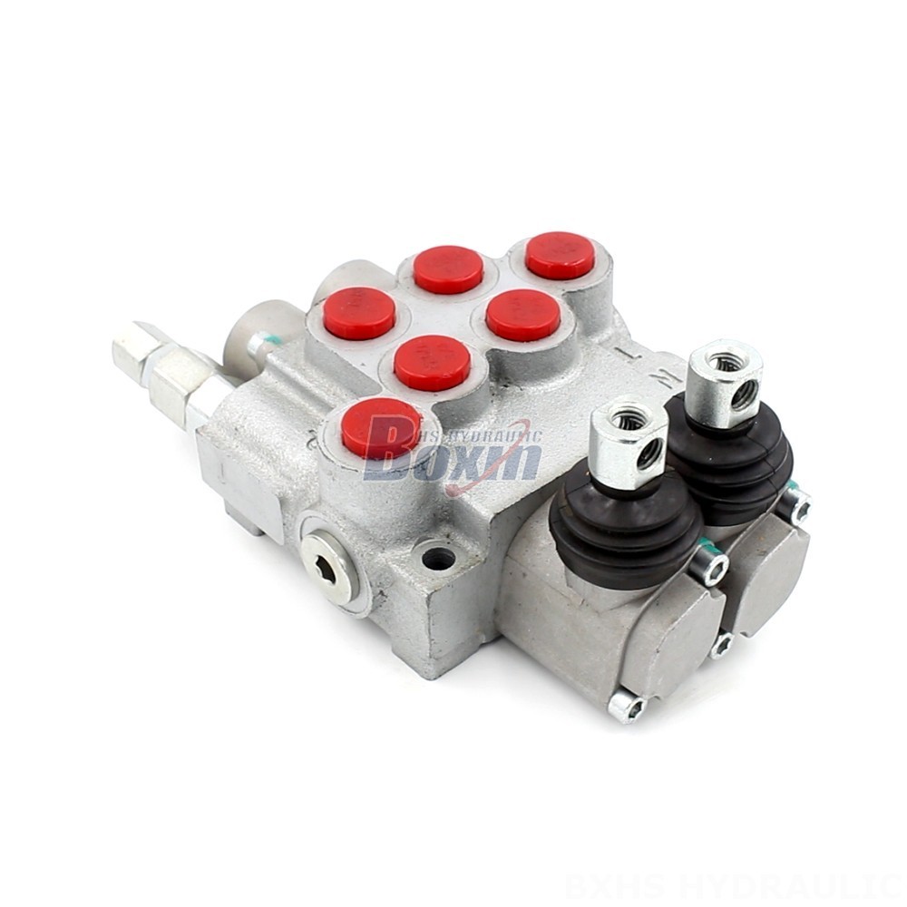 Hydraulic Cylinder Speed Control P40-DKL 2-Spool Hydraulic Valve: Factory Direct & Customizable main image