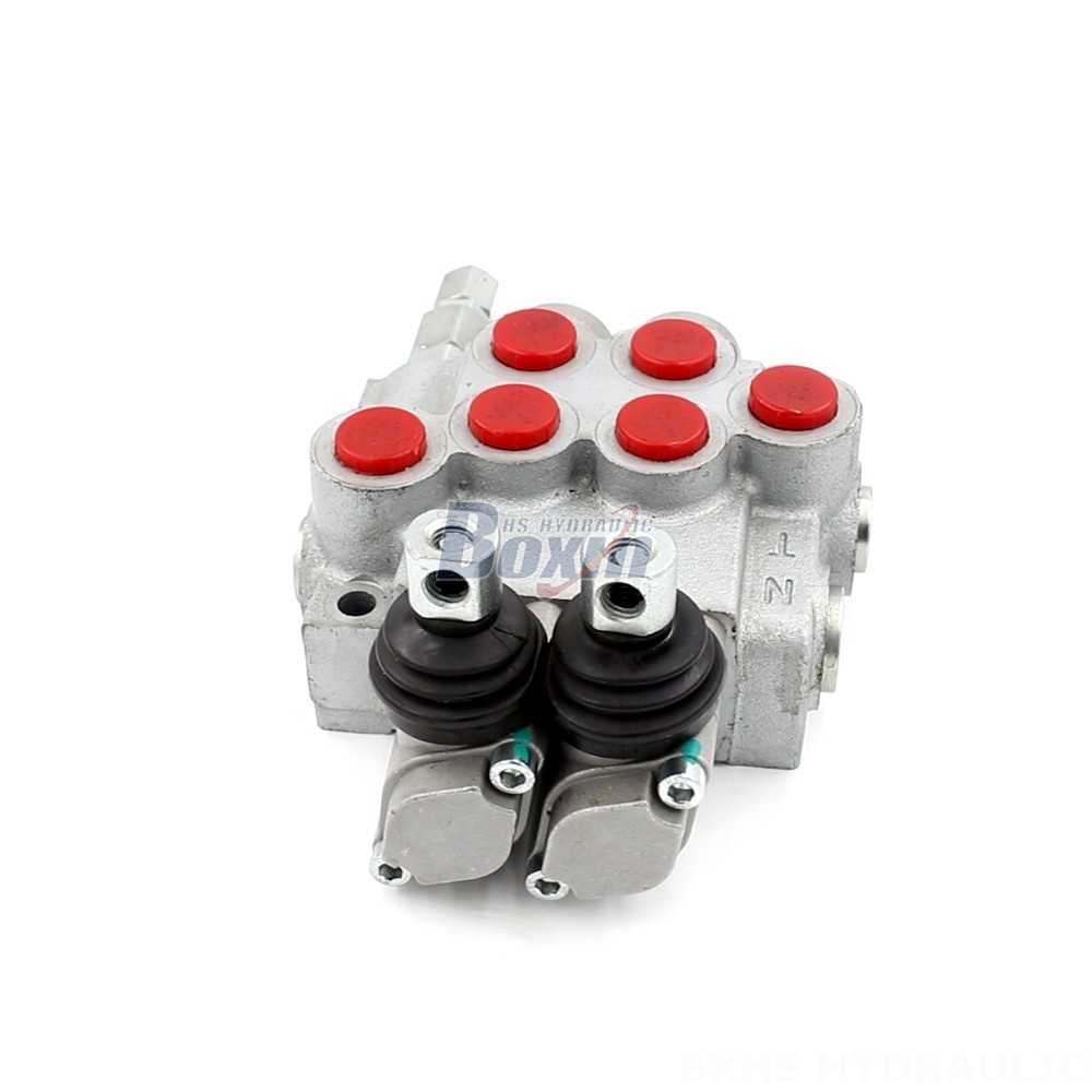 Hydraulic Cylinder Speed Control P40-DKL 2-Spool Hydraulic Valve: Factory Direct & Customizable main image