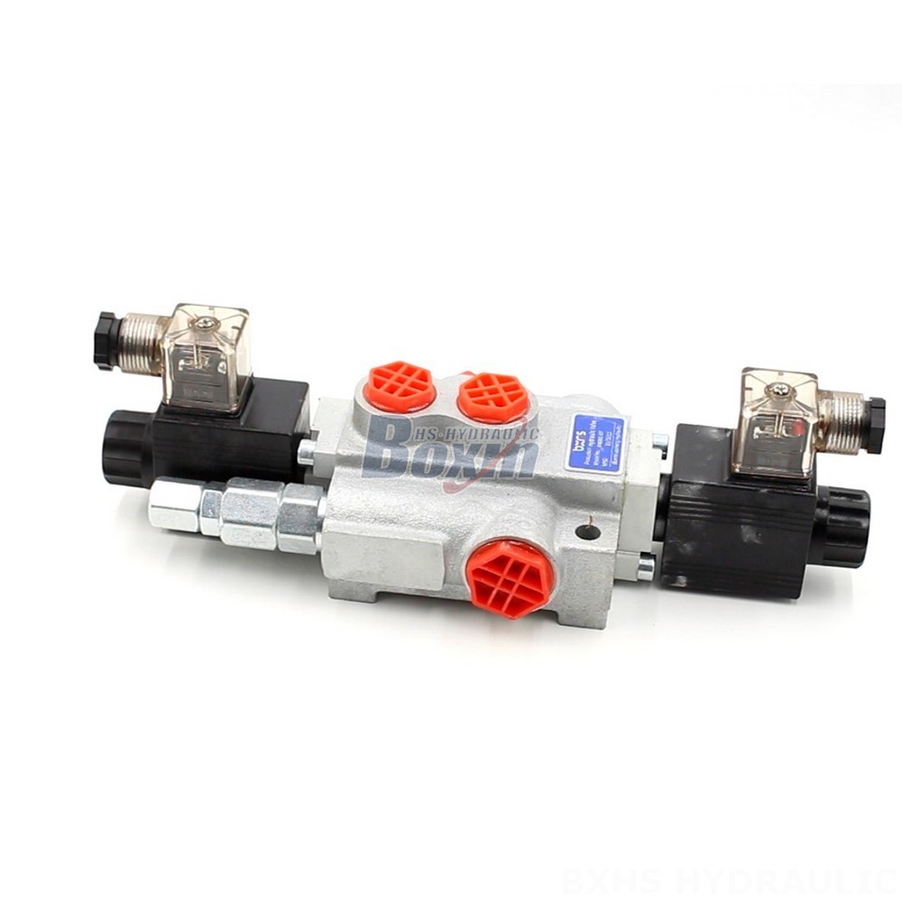External And Internal Gear P40-DKL Valves: Direct from the Source for Cost-Effective Solutions cover photo