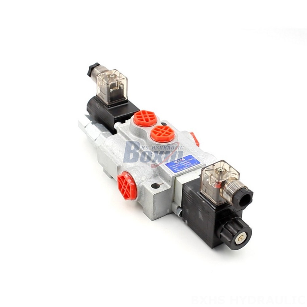 External And Internal Gear P40-DKL Valves: Direct from the Source for Cost-Effective Solutions main image