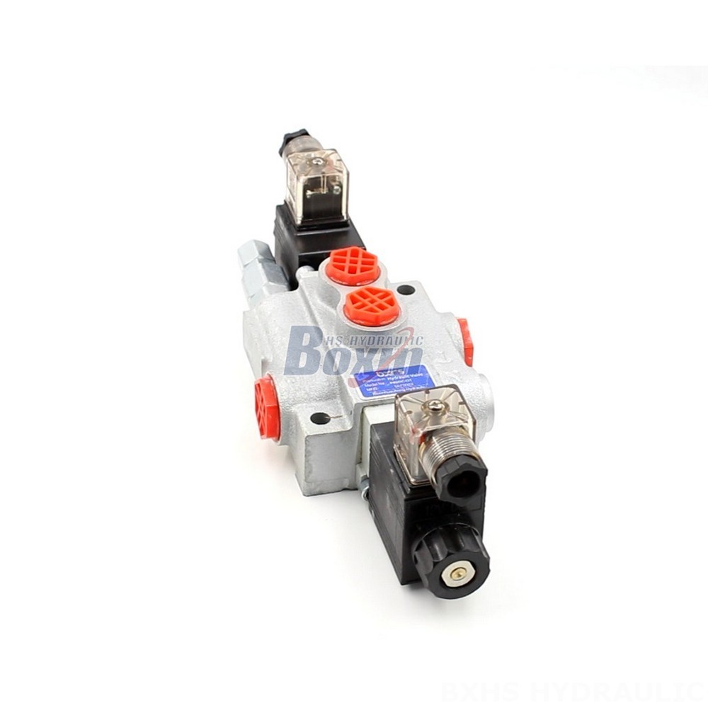 Excavator Relief Valve P40-DKL Valves: OEM/ODM Services for Private Labeling & Customization main image