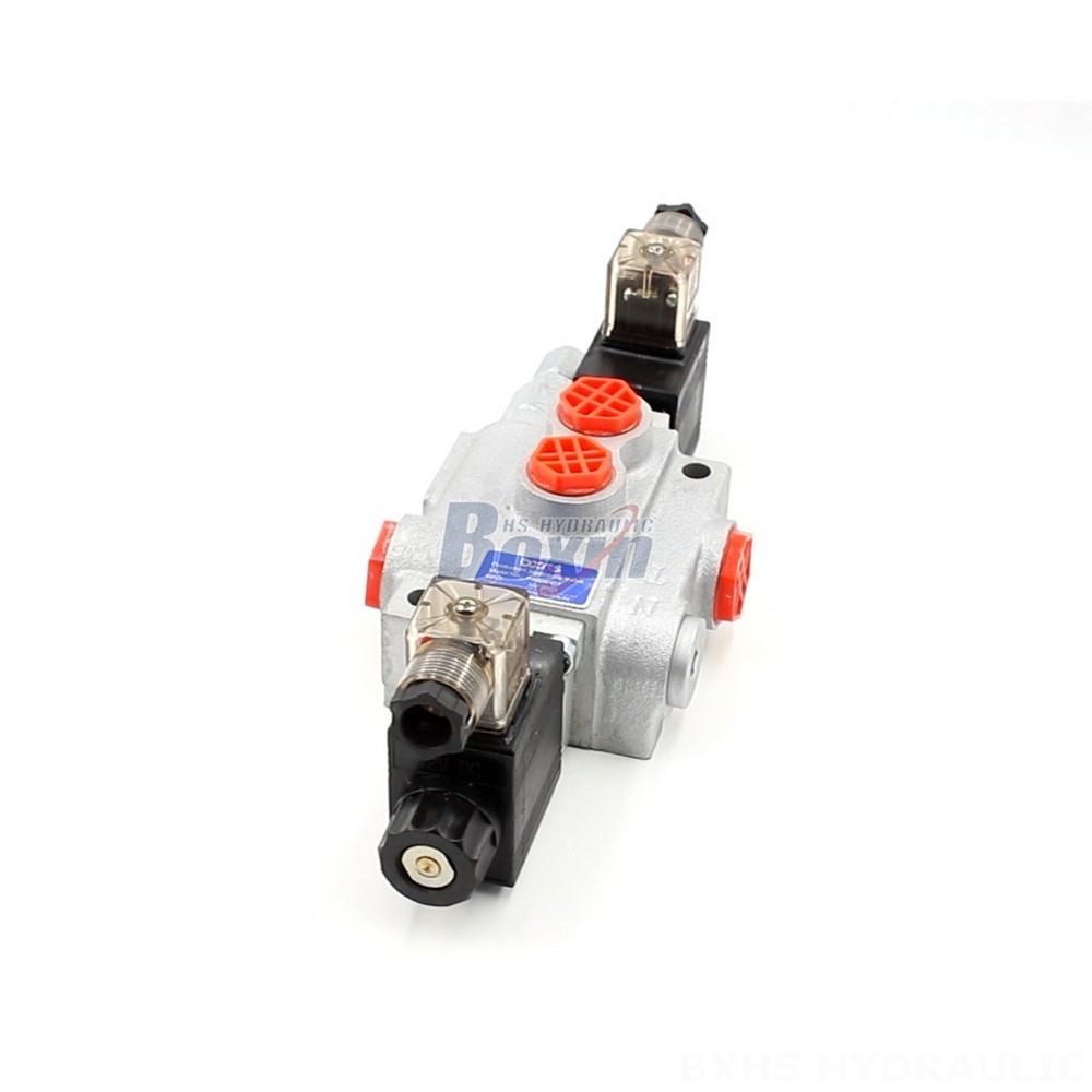 External And Internal Gear P40-DKL Valves: Direct from the Source for Cost-Effective Solutions main image