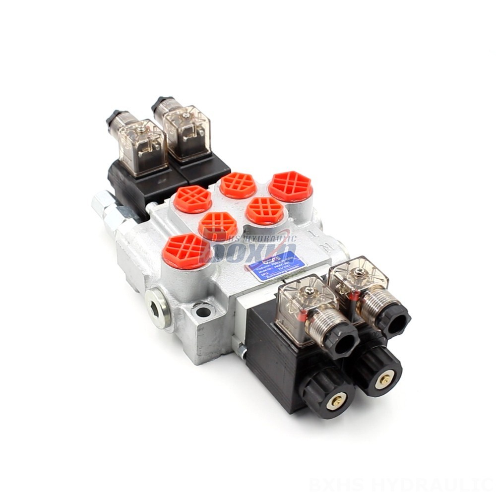 Industrial Solenoid Valve: P40-DKL | Customized Solutions & Engineering Support cover photo