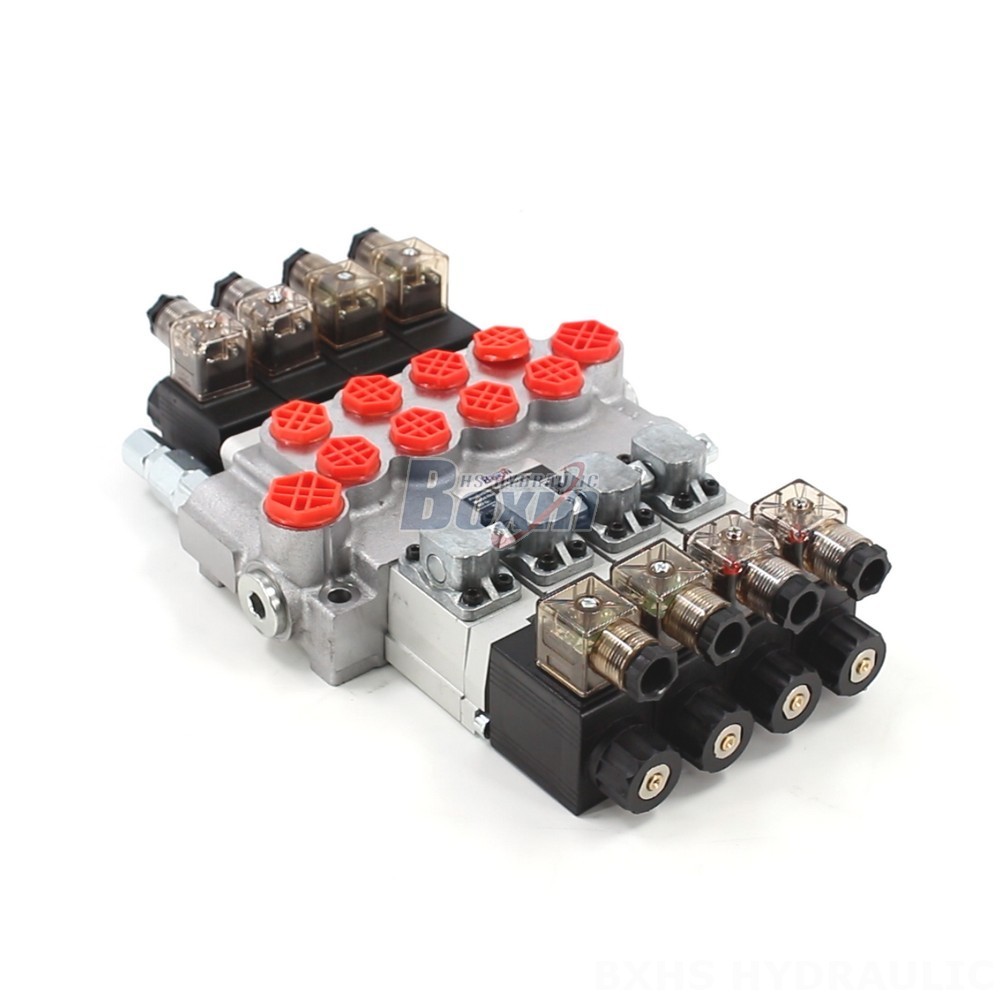 Partner with Us: P40-DS Monoblock Valve Manufacturing & Distribution Opportunities main image