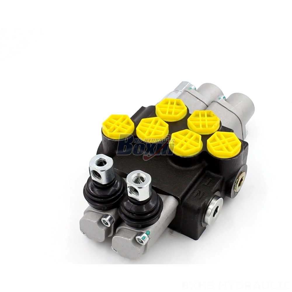 Valve Directional Control Monoblock Directional Valve P40-G12-2OT | Key Features & Advantages cover photo