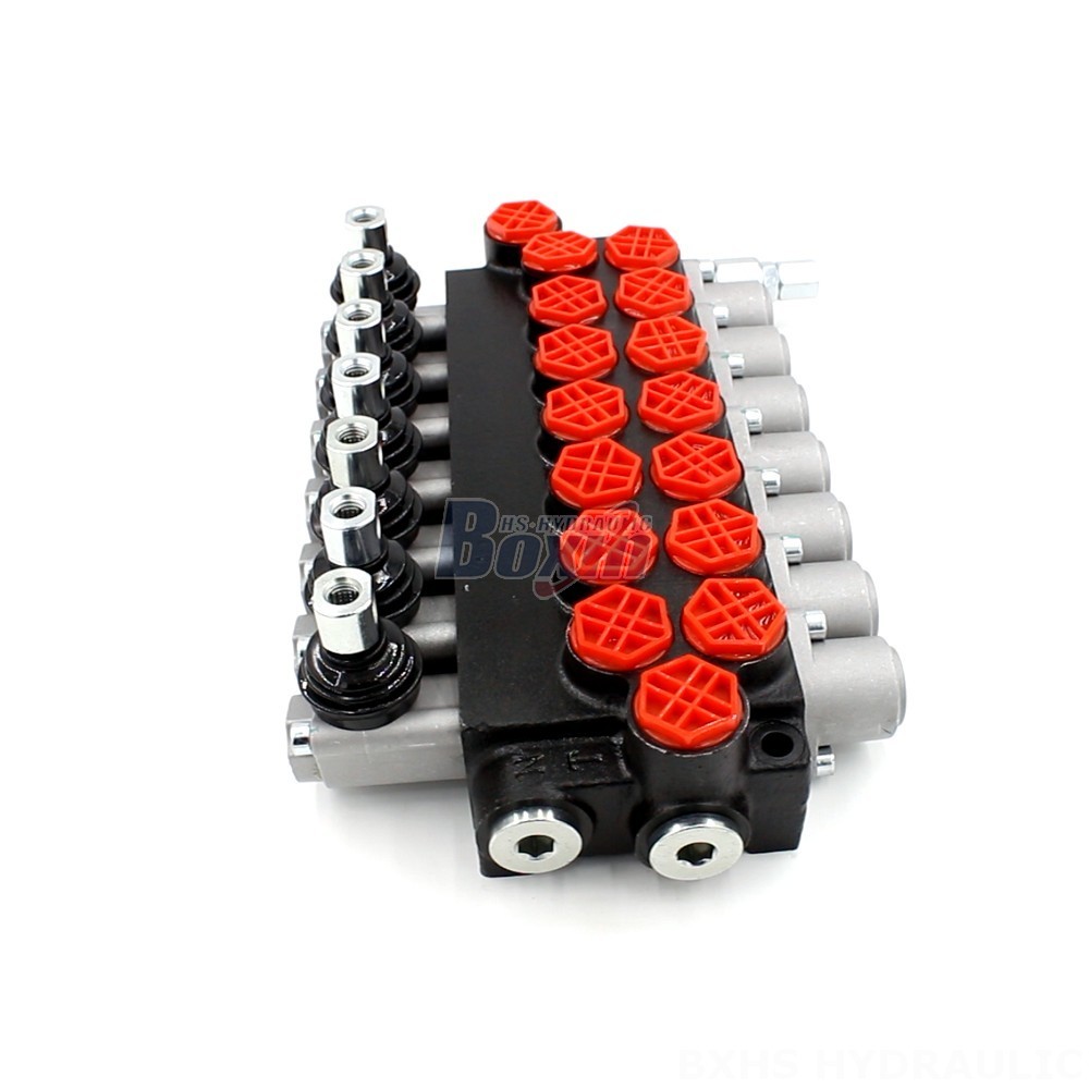 Hydraulic Check Valve Flow Direction P40-G12-7OT Valve: The Ultimate Hydraulic Control Solution main image