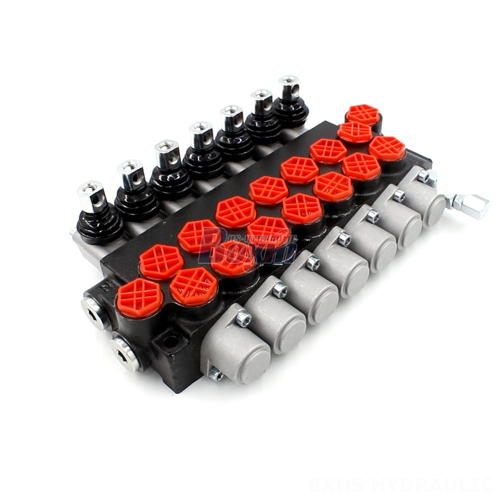 Hydraulic Check Valve Flow Direction P40-G12-7OT Valve: The Ultimate Hydraulic Control Solution main image