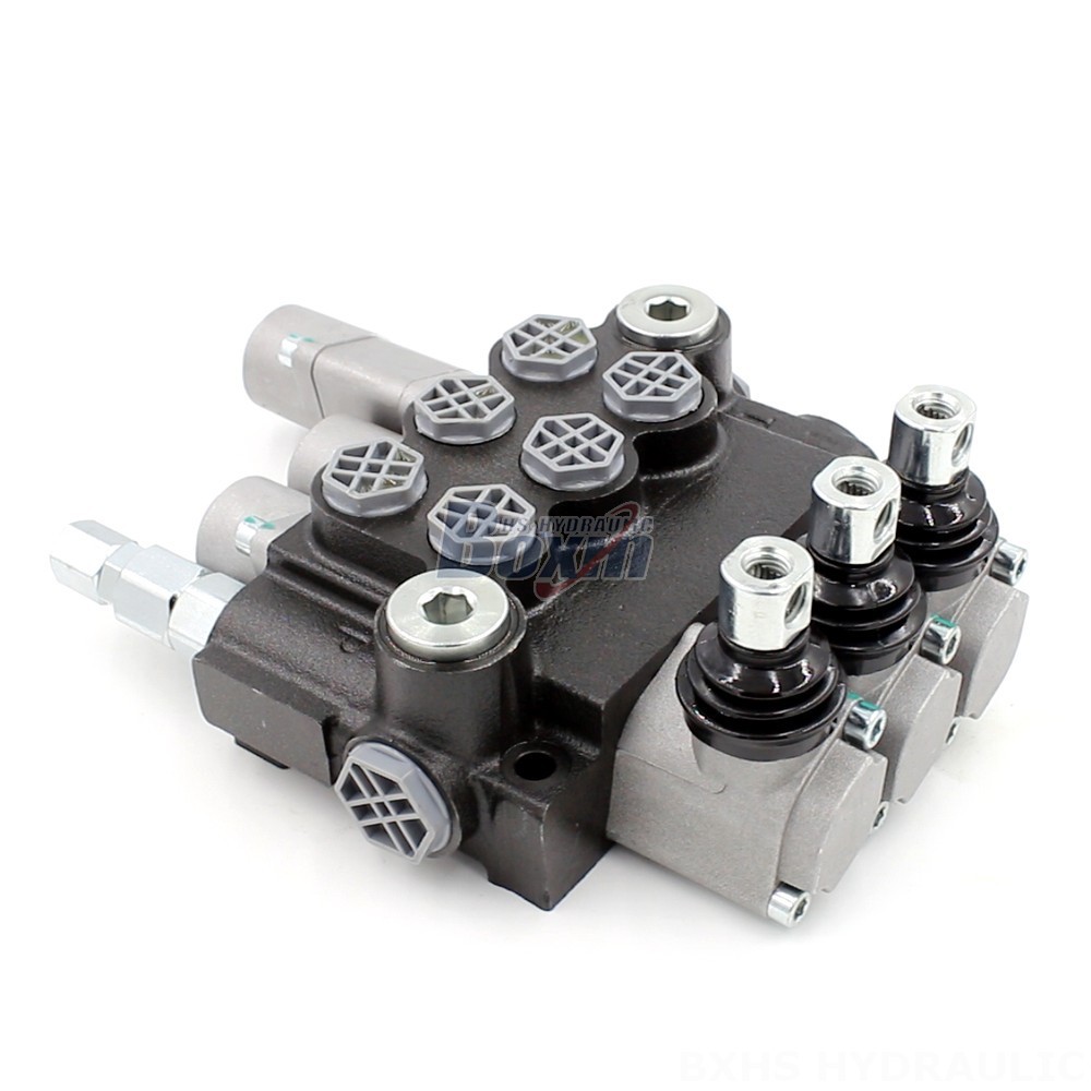 Diverter Valve 2 Way Hydraulic P40-G12-G38 Directional Valve | Hydraulic Component Manufacturer main image