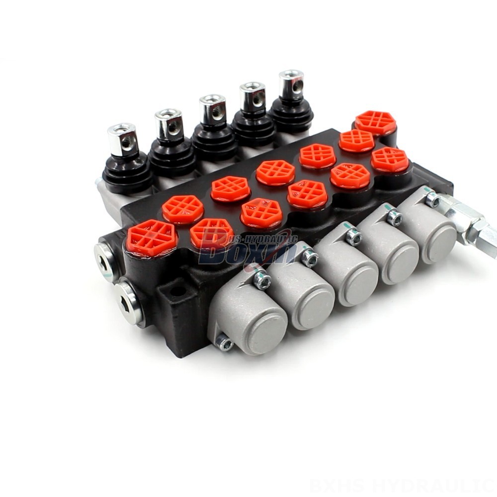 Selector Valve P40-G12-G38 Manual 5 Spool Monoblock Directional Valve | Wholesale & OEM cover photo