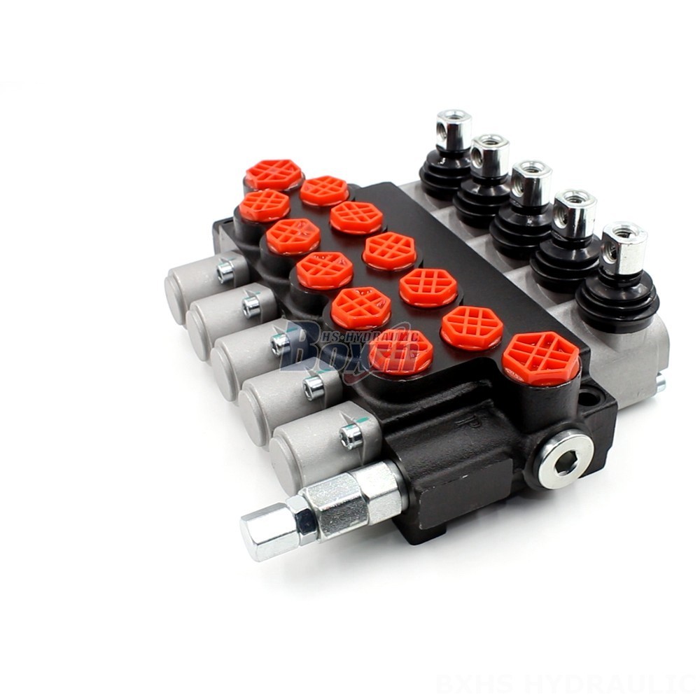 Selector Valve P40-G12-G38 Manual 5 Spool Monoblock Directional Valve | Wholesale & OEM main image