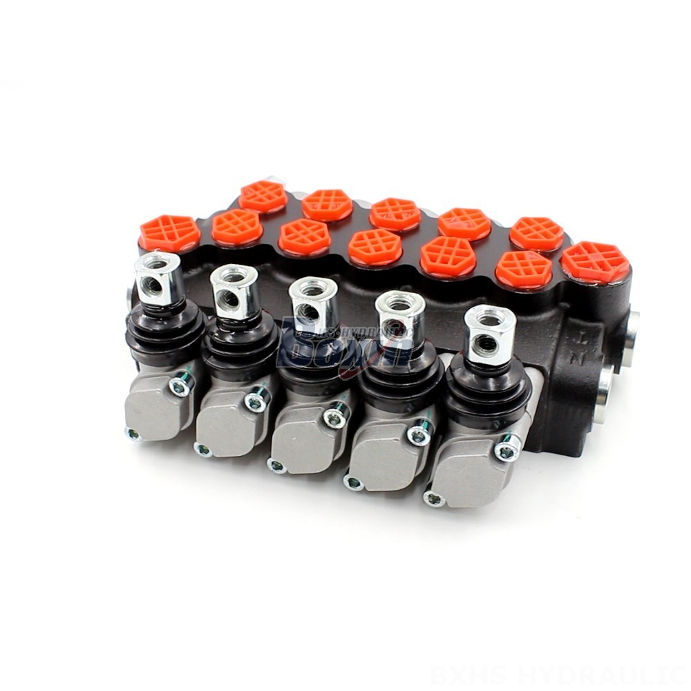 Meet Your Unique Needs: Customizable P40-G12-G38 Valves and Hydraulic Solutions main image